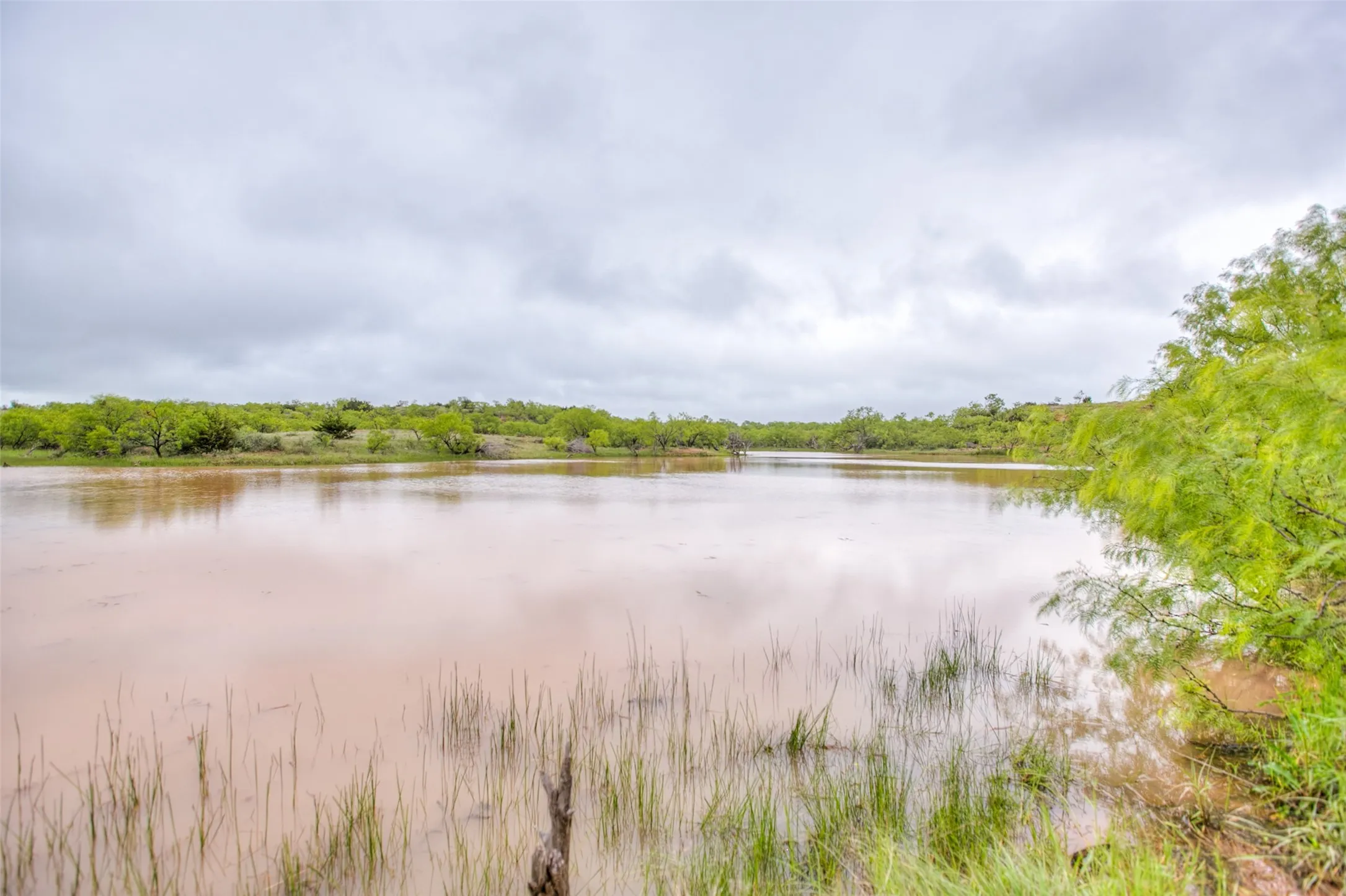 Ranch For Sale in Callahan County , N/A HWY 36, Baird, Texas 79504, 0, 0, Garage spaces, 0 Sqft, built in 0, mls#21298792, Real Estate Agent in Baird, Homes For Sale in Callahan county, Homes For Sale in Baird, Realtor in Baird Texas, Real Estate Brokerage Independent Realty Texas, Luminita Cordes Realtor