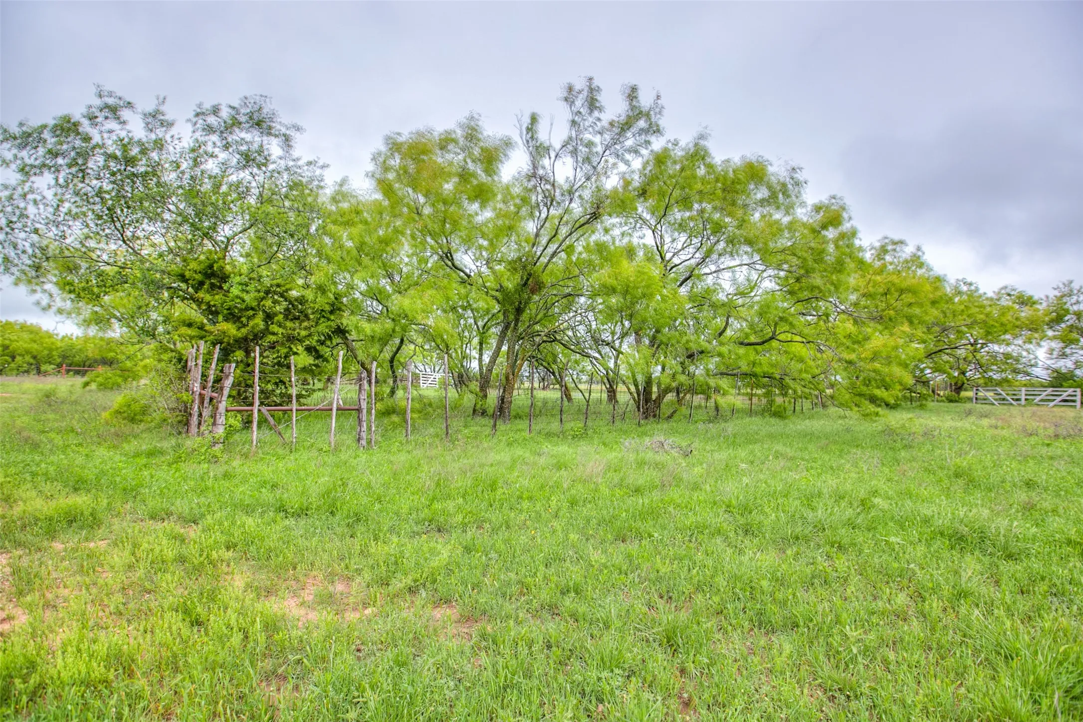 Ranch For Sale in Callahan County , N/A HWY 36, Baird, Texas 79504, 0, 0, Garage spaces, 0 Sqft, built in 0, mls#21298792, Real Estate Agent in Baird, Homes For Sale in Callahan county, Homes For Sale in Baird, Realtor in Baird Texas, Real Estate Brokerage Independent Realty Texas, Luminita Cordes Realtor