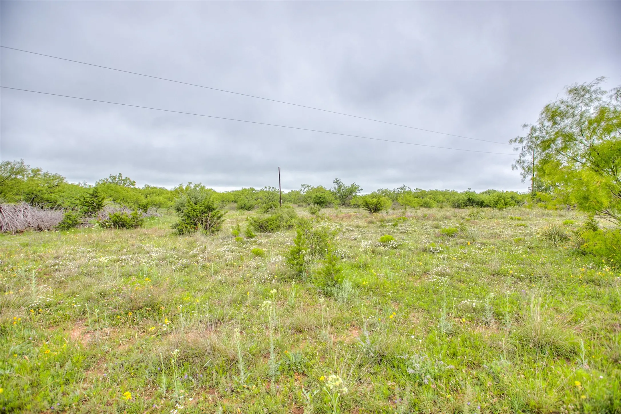 Ranch For Sale in Callahan County , N/A HWY 36, Baird, Texas 79504, 0, 0, Garage spaces, 0 Sqft, built in 0, mls#21298792, Real Estate Agent in Baird, Homes For Sale in Callahan county, Homes For Sale in Baird, Realtor in Baird Texas, Real Estate Brokerage Independent Realty Texas, Luminita Cordes Realtor