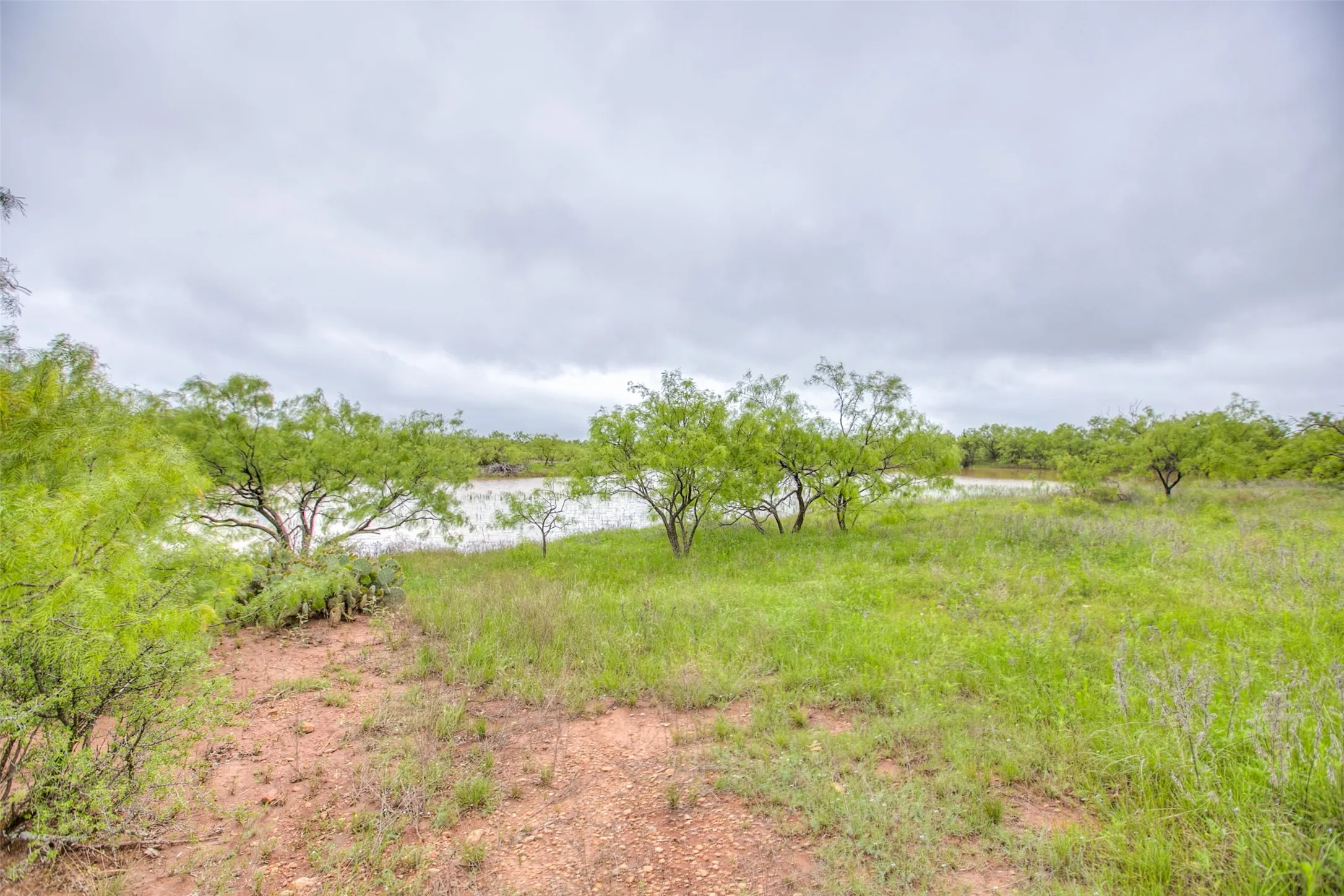 Ranch For Sale in Callahan County , N/A HWY 36, Baird, Texas 79504, 0, 0, Garage spaces, 0 Sqft, built in 0, mls#21298792, Real Estate Agent in Baird, Homes For Sale in Callahan county, Homes For Sale in Baird, Realtor in Baird Texas, Real Estate Brokerage Independent Realty Texas, Luminita Cordes Realtor