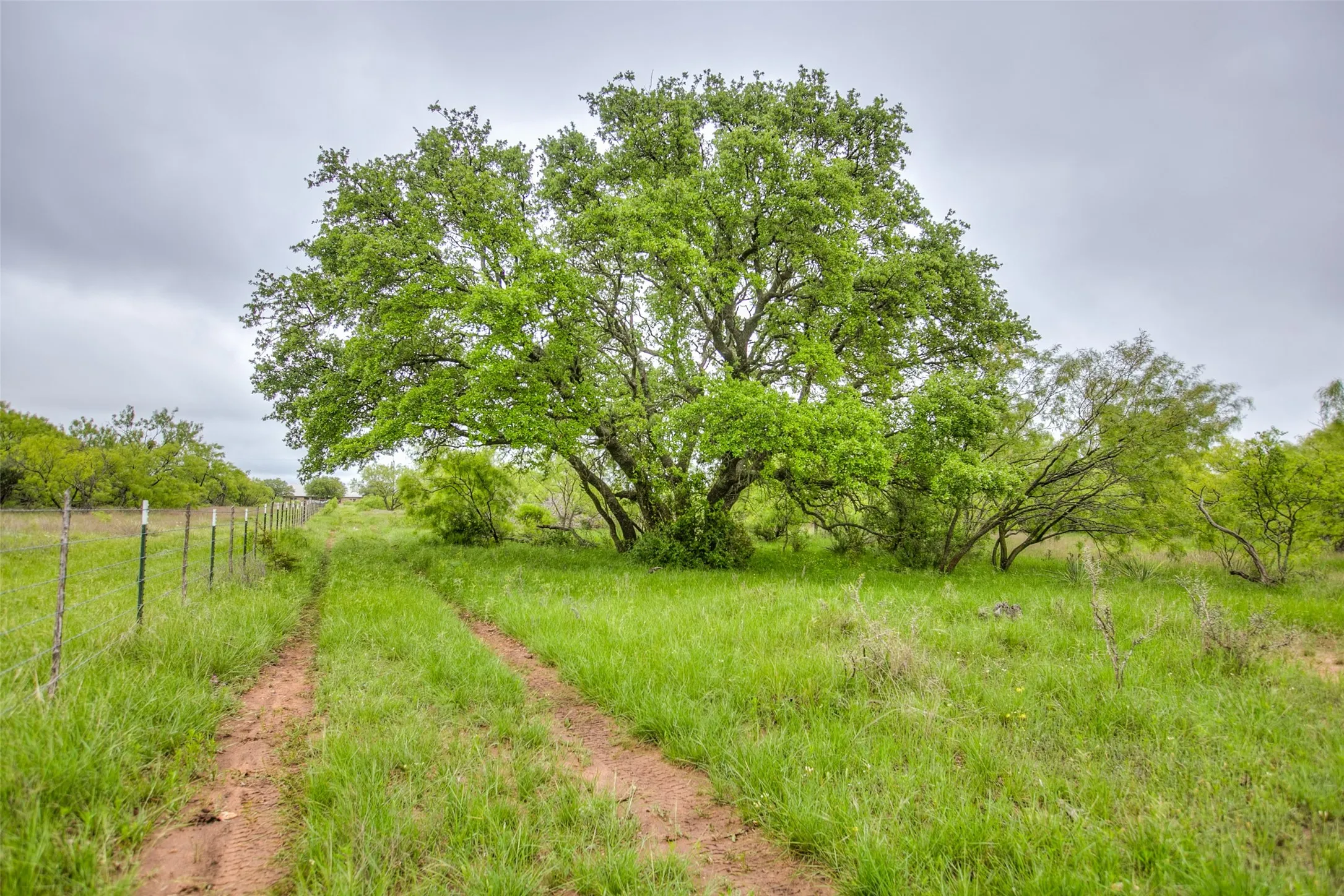 Ranch For Sale in Callahan County , N/A HWY 36, Baird, Texas 79504, 0, 0, Garage spaces, 0 Sqft, built in 0, mls#21298792, Real Estate Agent in Baird, Homes For Sale in Callahan county, Homes For Sale in Baird, Realtor in Baird Texas, Real Estate Brokerage Independent Realty Texas, Luminita Cordes Realtor