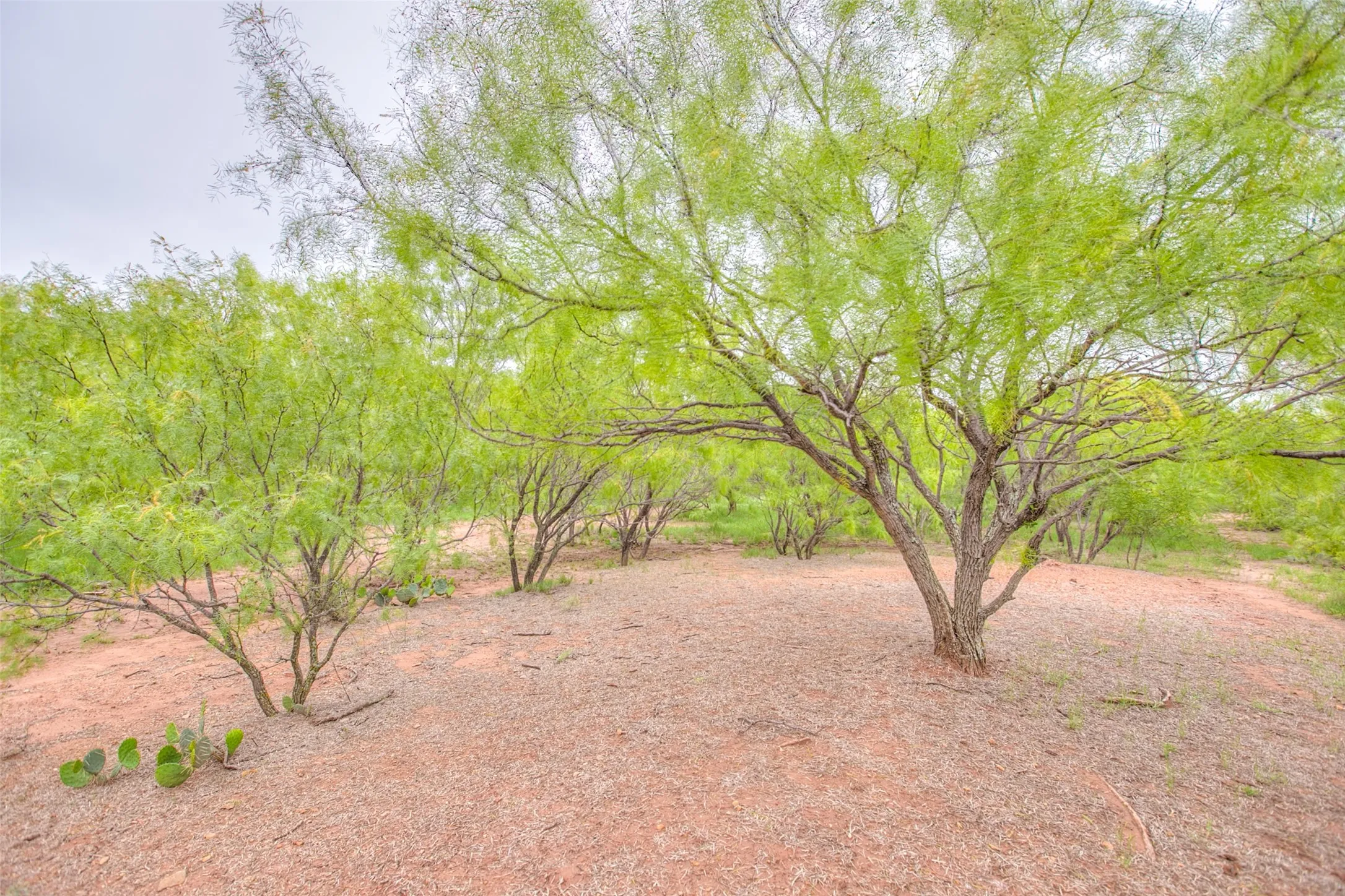 Ranch For Sale in Callahan County , N/A HWY 36, Baird, Texas 79504, 0, 0, Garage spaces, 0 Sqft, built in 0, mls#21298792, Real Estate Agent in Baird, Homes For Sale in Callahan county, Homes For Sale in Baird, Realtor in Baird Texas, Real Estate Brokerage Independent Realty Texas, Luminita Cordes Realtor