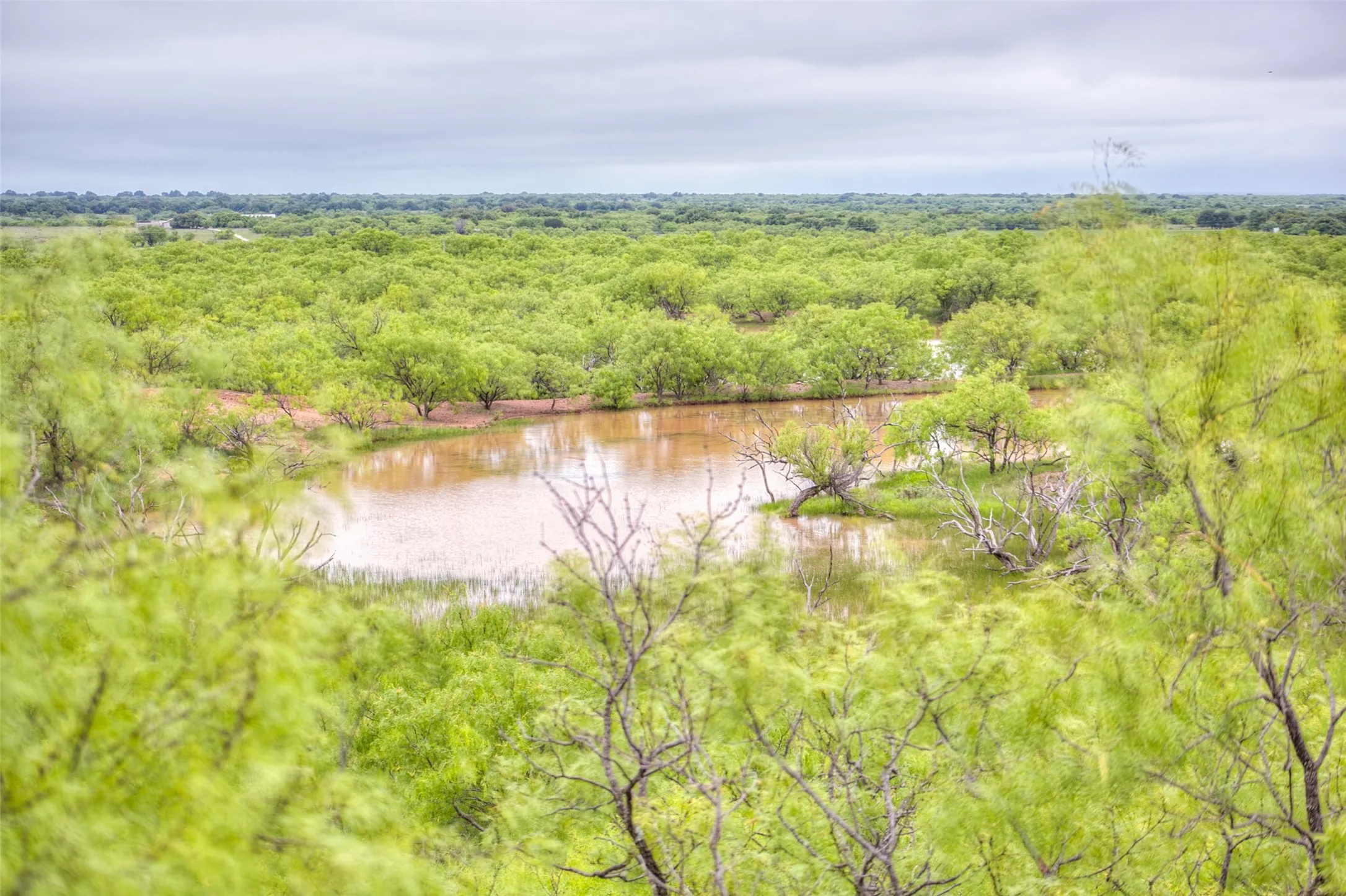 Ranch For Sale in Callahan County , N/A HWY 36, Baird, Texas 79504, 0, 0, Garage spaces, 0 Sqft, built in 0, mls#21298792, Real Estate Agent in Baird, Homes For Sale in Callahan county, Homes For Sale in Baird, Realtor in Baird Texas, Real Estate Brokerage Independent Realty Texas, Luminita Cordes Realtor