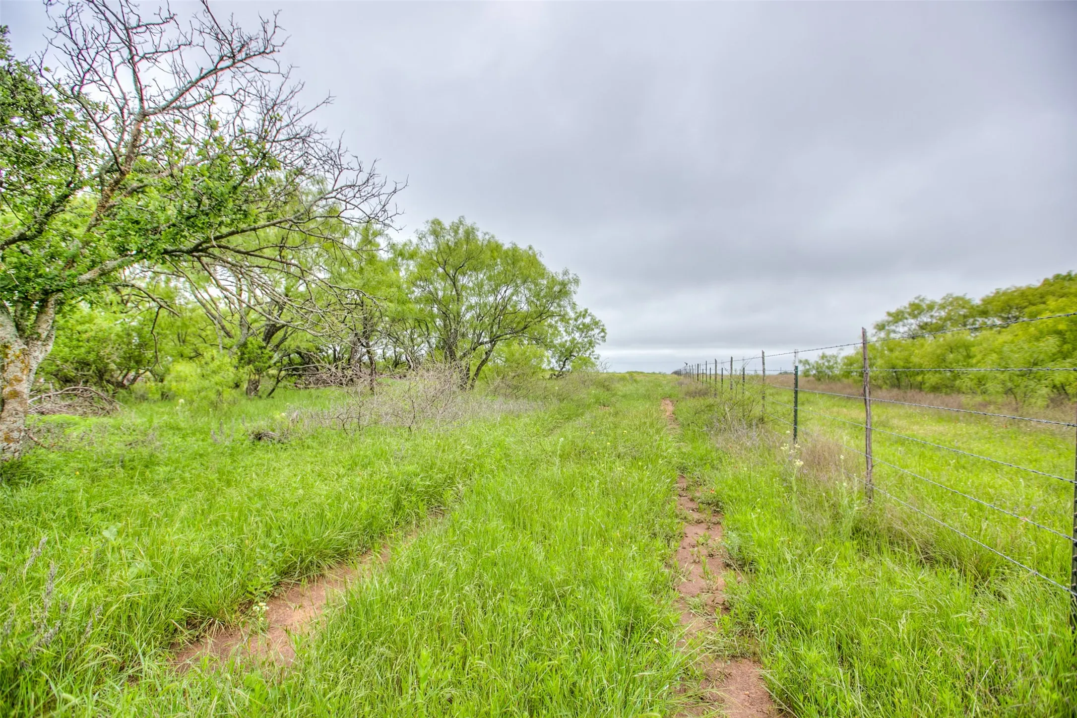 Ranch For Sale in Callahan County , N/A HWY 36, Baird, Texas 79504, 0, 0, Garage spaces, 0 Sqft, built in 0, mls#21298792, Real Estate Agent in Baird, Homes For Sale in Callahan county, Homes For Sale in Baird, Realtor in Baird Texas, Real Estate Brokerage Independent Realty Texas, Luminita Cordes Realtor
