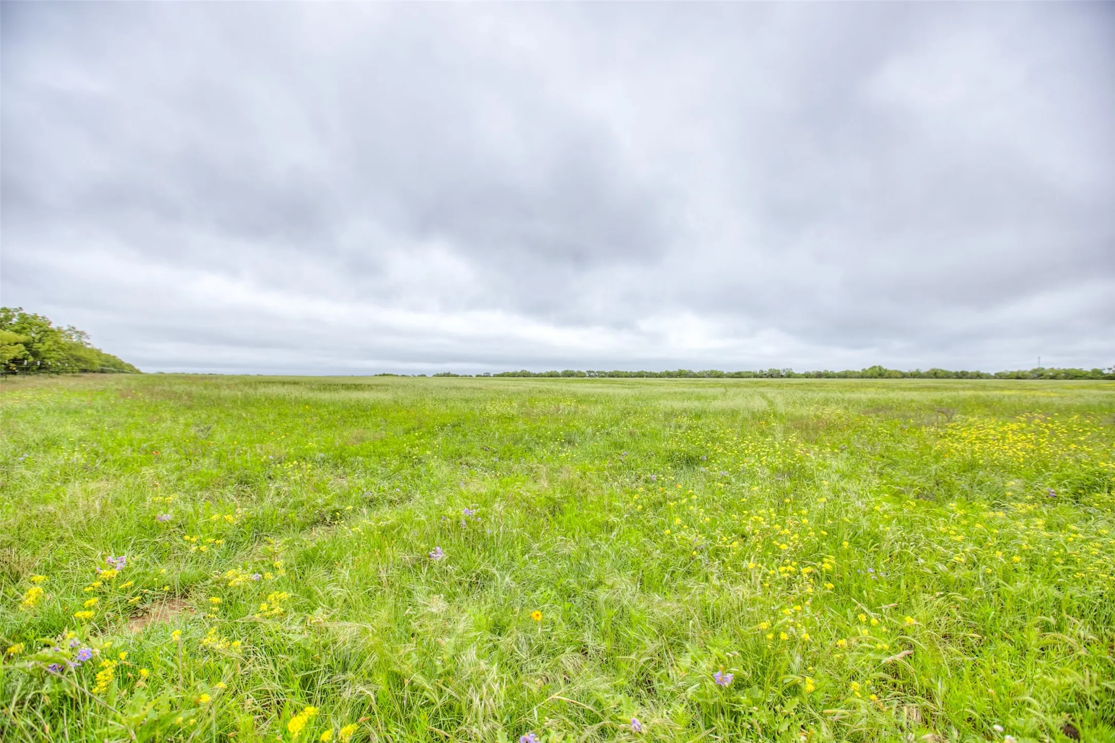 Ranch For Sale in Callahan County , N/A HWY 36, Baird, Texas 79504, 0, 0, Garage spaces, 0 Sqft, built in 0, mls#21298792, Real Estate Agent in Baird, Homes For Sale in Callahan county, Homes For Sale in Baird, Realtor in Baird Texas, Real Estate Brokerage Independent Realty Texas, Luminita Cordes Realtor