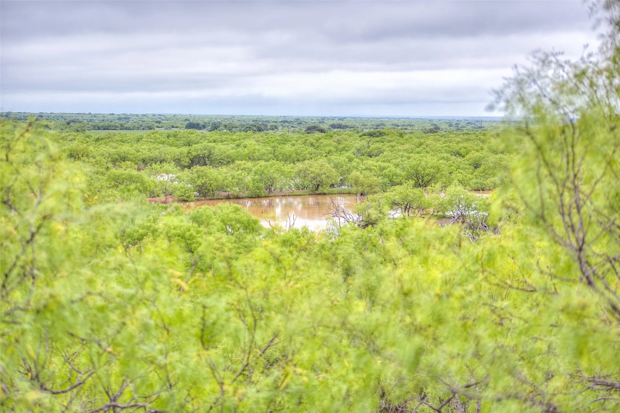 Ranch For Sale in Callahan County , N/A HWY 36, Baird, Texas 79504, 0, 0, Garage spaces, 0 Sqft, built in 0, mls#21298792, Real Estate Agent in Baird, Homes For Sale in Callahan county, Homes For Sale in Baird, Realtor in Baird Texas, Real Estate Brokerage Independent Realty Texas, Luminita Cordes Realtor