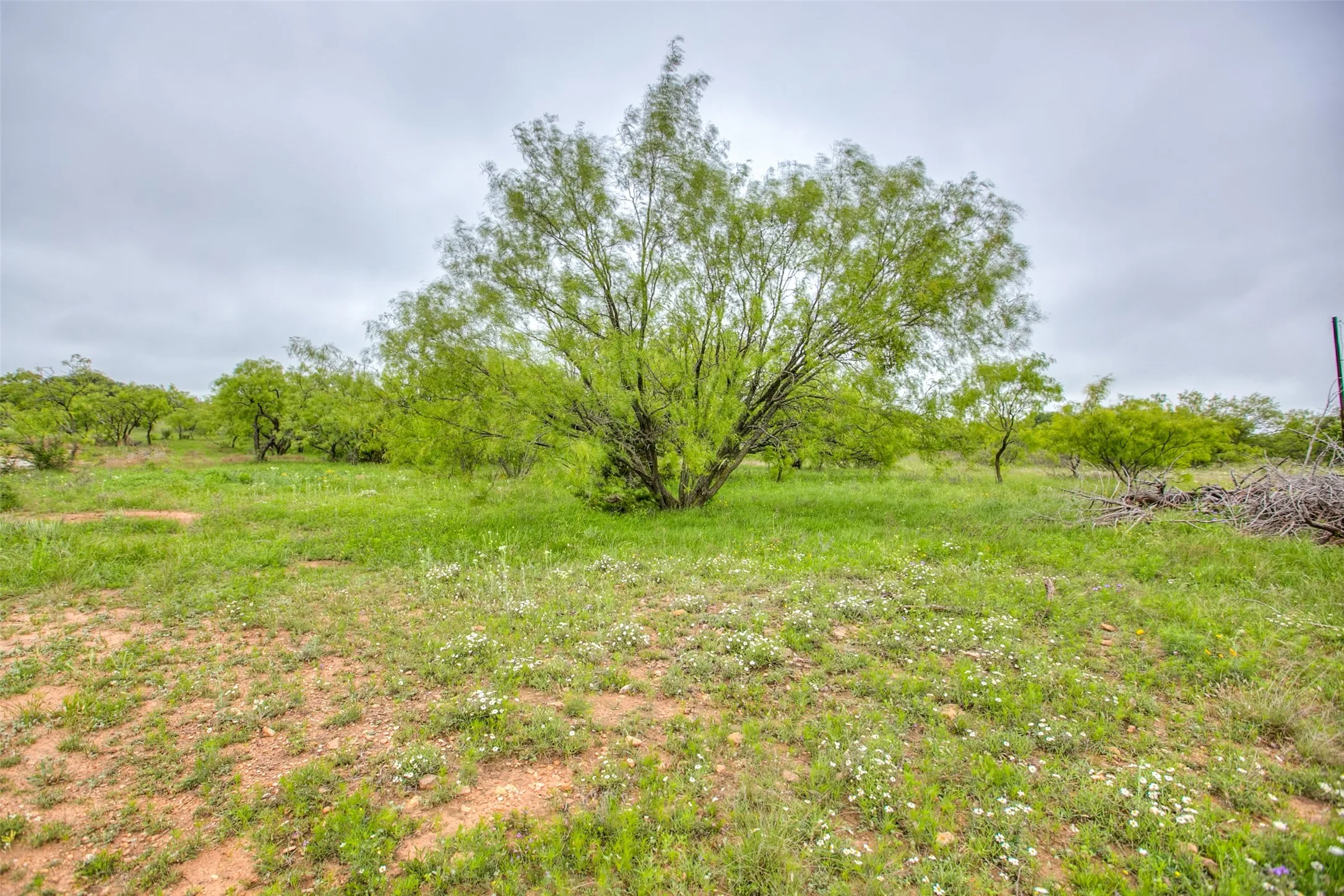 Ranch For Sale in Callahan County , N/A HWY 36, Baird, Texas 79504, 0, 0, Garage spaces, 0 Sqft, built in 0, mls#21298792, Real Estate Agent in Baird, Homes For Sale in Callahan county, Homes For Sale in Baird, Realtor in Baird Texas, Real Estate Brokerage Independent Realty Texas, Luminita Cordes Realtor