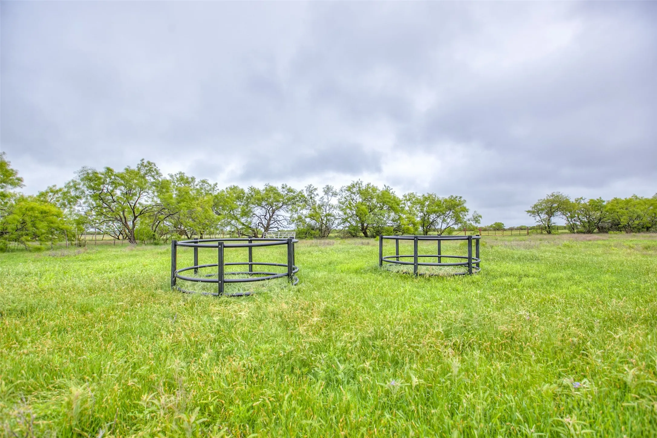 Ranch For Sale in Callahan County , N/A HWY 36, Baird, Texas 79504, 0, 0, Garage spaces, 0 Sqft, built in 0, mls#21298792, Real Estate Agent in Baird, Homes For Sale in Callahan county, Homes For Sale in Baird, Realtor in Baird Texas, Real Estate Brokerage Independent Realty Texas, Luminita Cordes Realtor