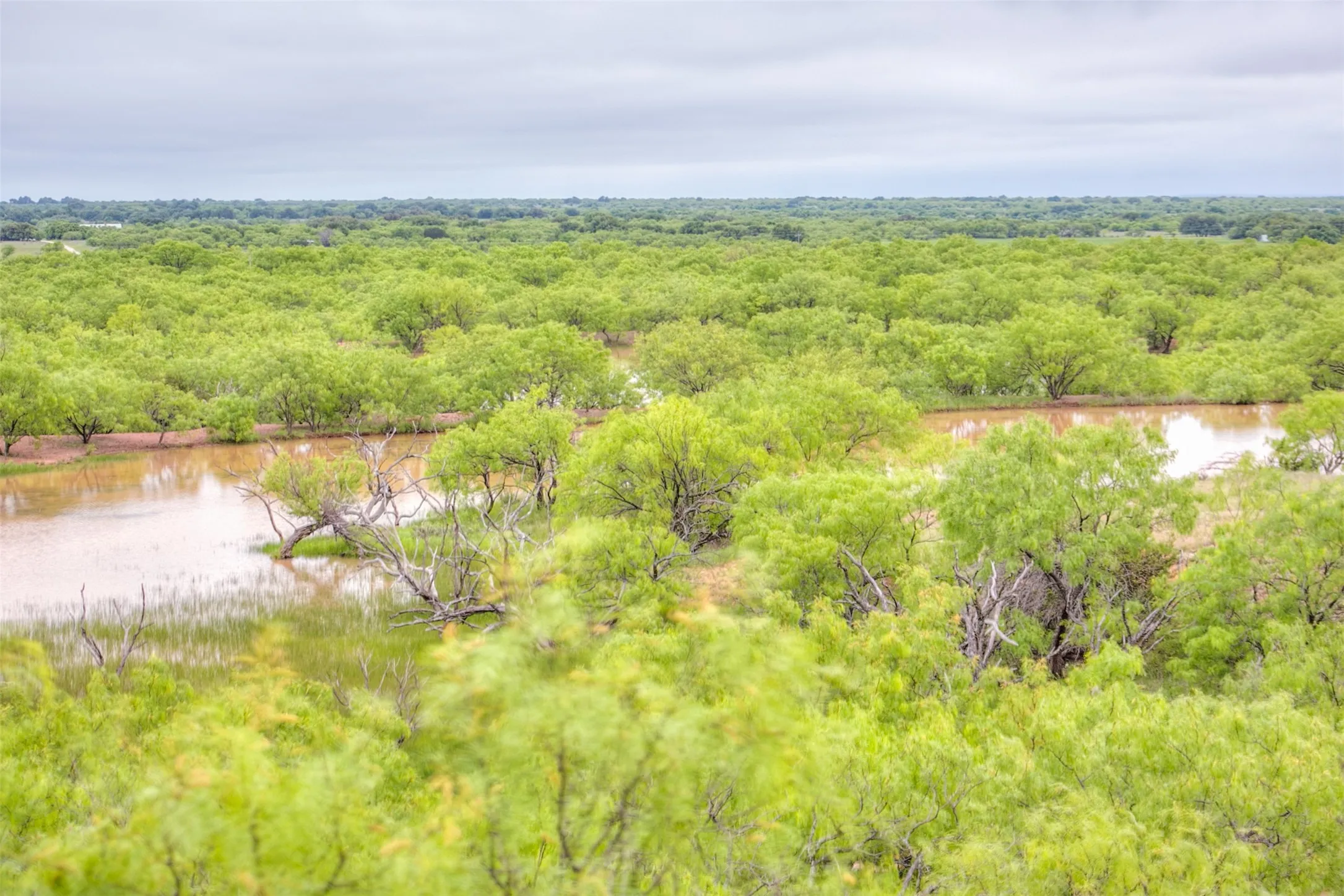 Ranch For Sale in Callahan County , N/A HWY 36, Baird, Texas 79504, 0, 0, Garage spaces, 0 Sqft, built in 0, mls#21298792, Real Estate Agent in Baird, Homes For Sale in Callahan county, Homes For Sale in Baird, Realtor in Baird Texas, Real Estate Brokerage Independent Realty Texas, Luminita Cordes Realtor