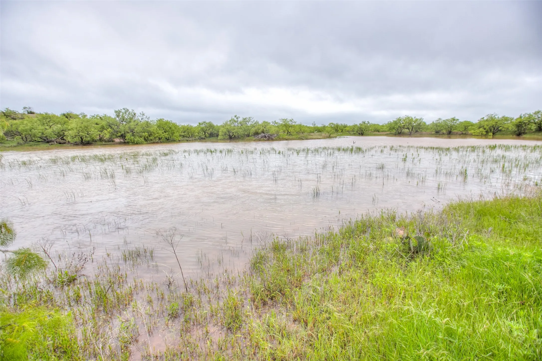 Ranch For Sale in Callahan County , N/A HWY 36, Baird, Texas 79504, 0, 0, Garage spaces, 0 Sqft, built in 0, mls#21298792, Real Estate Agent in Baird, Homes For Sale in Callahan county, Homes For Sale in Baird, Realtor in Baird Texas, Real Estate Brokerage Independent Realty Texas, Luminita Cordes Realtor