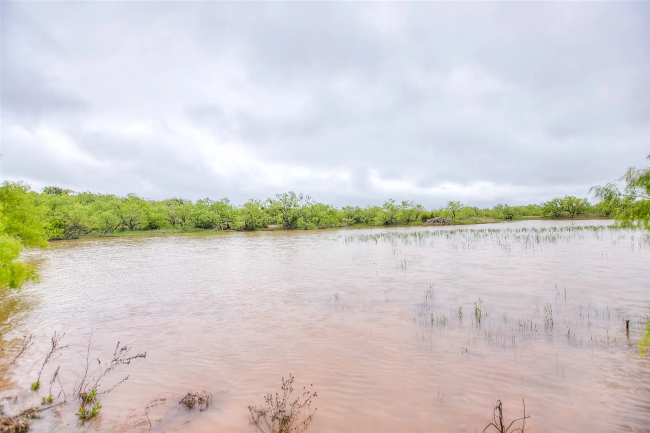 Ranch For Sale in Callahan County , N/A HWY 36, Baird, Texas 79504, 0, 0, Garage spaces, 0 Sqft, built in 0, mls#21298792, Real Estate Agent in Baird, Homes For Sale in Callahan county, Homes For Sale in Baird, Realtor in Baird Texas, Real Estate Brokerage Independent Realty Texas, Luminita Cordes Realtor