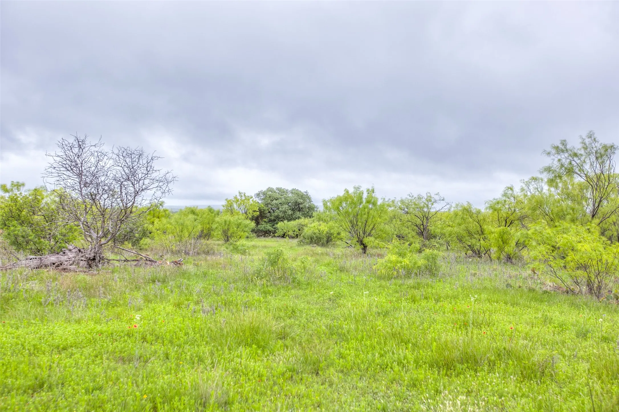 Ranch For Sale in Callahan County , N/A HWY 36, Baird, Texas 79504, 0, 0, Garage spaces, 0 Sqft, built in 0, mls#21298792, Real Estate Agent in Baird, Homes For Sale in Callahan county, Homes For Sale in Baird, Realtor in Baird Texas, Real Estate Brokerage Independent Realty Texas, Luminita Cordes Realtor