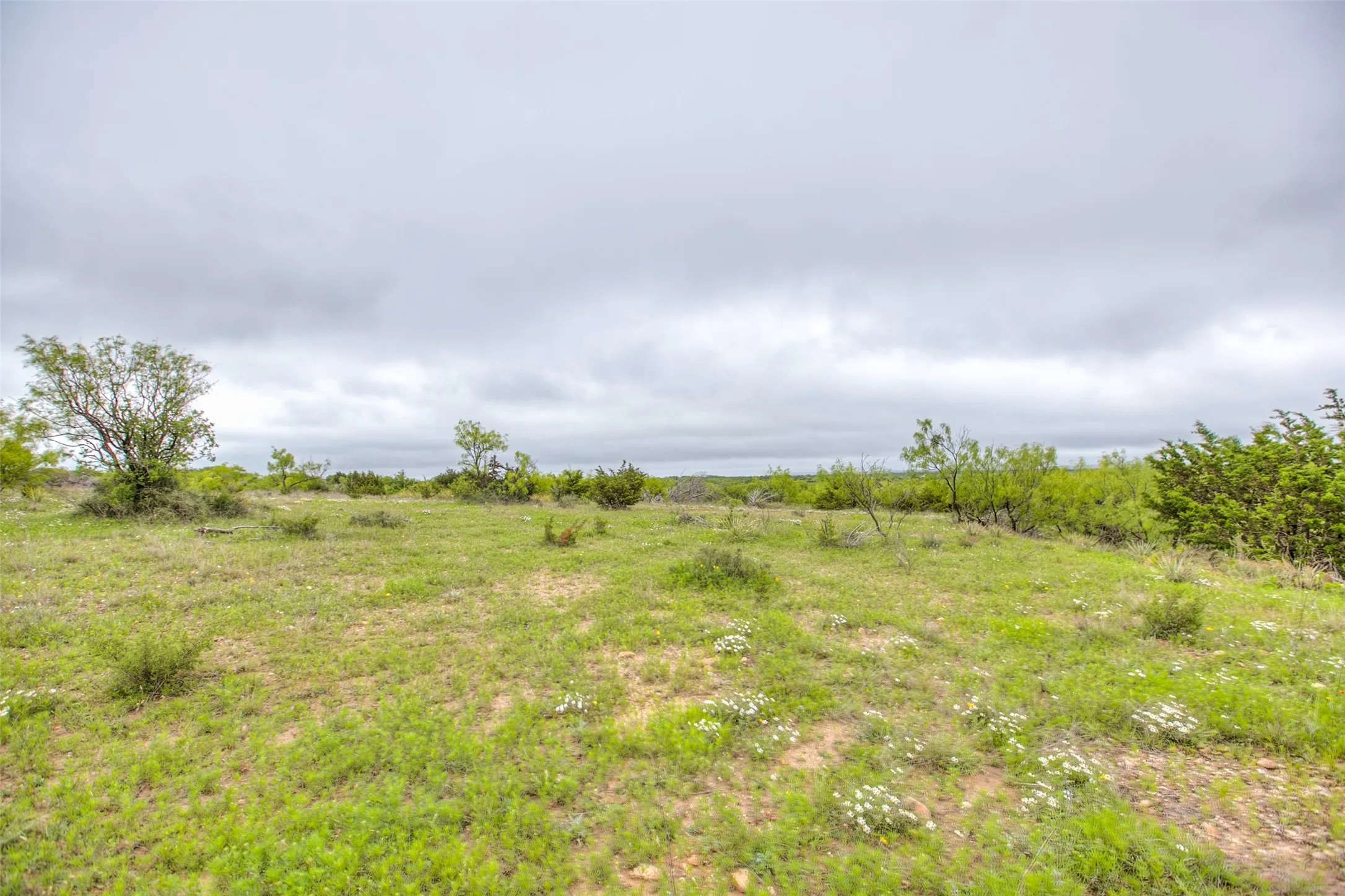Ranch For Sale in Callahan County , N/A HWY 36, Baird, Texas 79504, 0, 0, Garage spaces, 0 Sqft, built in 0, mls#21298792, Real Estate Agent in Baird, Homes For Sale in Callahan county, Homes For Sale in Baird, Realtor in Baird Texas, Real Estate Brokerage Independent Realty Texas, Luminita Cordes Realtor