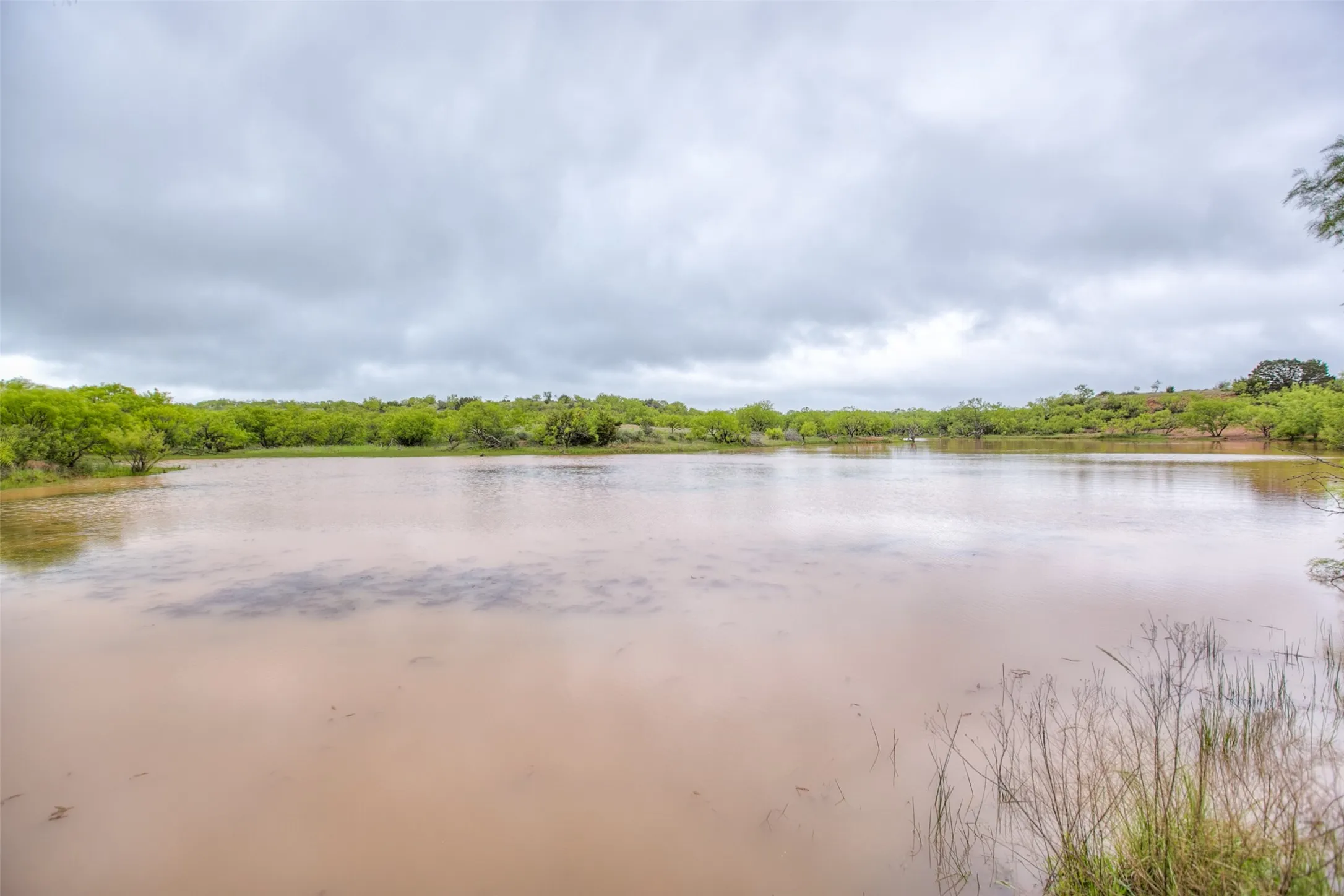 Ranch For Sale in Callahan County , N/A HWY 36, Baird, Texas 79504, 0, 0, Garage spaces, 0 Sqft, built in 0, mls#21298792, Real Estate Agent in Baird, Homes For Sale in Callahan county, Homes For Sale in Baird, Realtor in Baird Texas, Real Estate Brokerage Independent Realty Texas, Luminita Cordes Realtor
