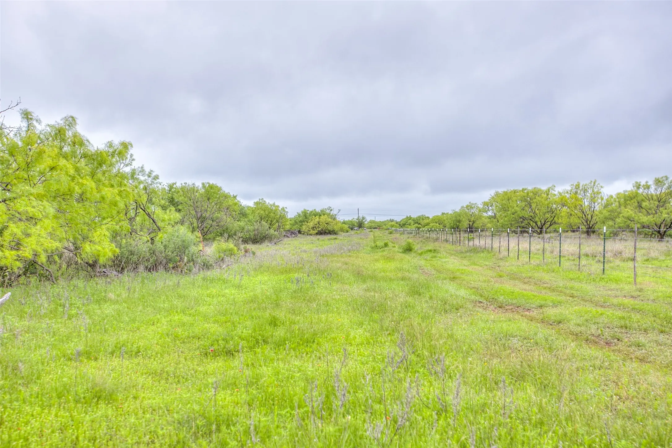 Ranch For Sale in Callahan County , N/A HWY 36, Baird, Texas 79504, 0, 0, Garage spaces, 0 Sqft, built in 0, mls#21298792, Real Estate Agent in Baird, Homes For Sale in Callahan county, Homes For Sale in Baird, Realtor in Baird Texas, Real Estate Brokerage Independent Realty Texas, Luminita Cordes Realtor