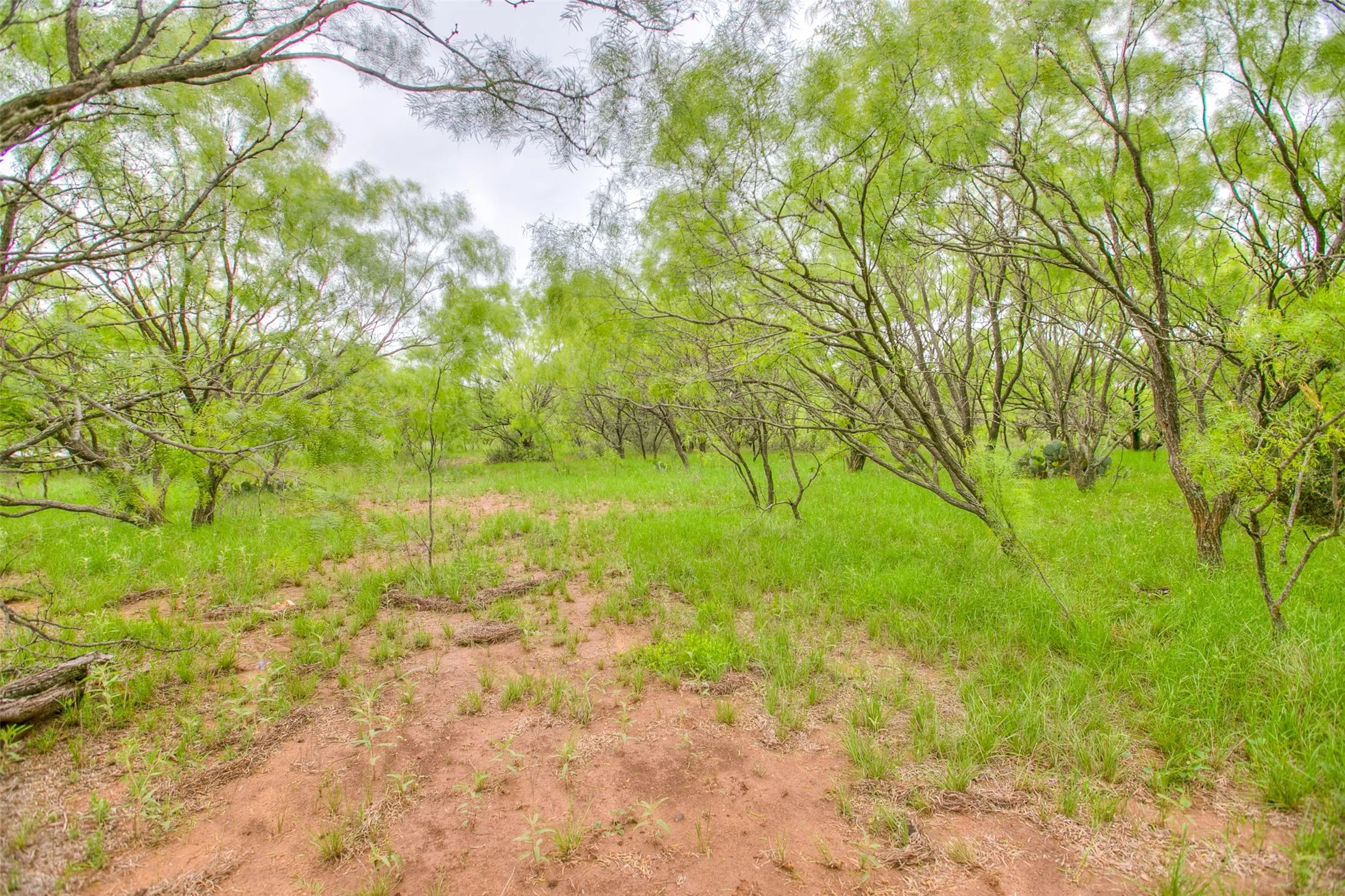 Ranch For Sale in Callahan County , N/A HWY 36, Baird, Texas 79504, 0, 0, Garage spaces, 0 Sqft, built in 0, mls#21298792, Real Estate Agent in Baird, Homes For Sale in Callahan county, Homes For Sale in Baird, Realtor in Baird Texas, Real Estate Brokerage Independent Realty Texas, Luminita Cordes Realtor