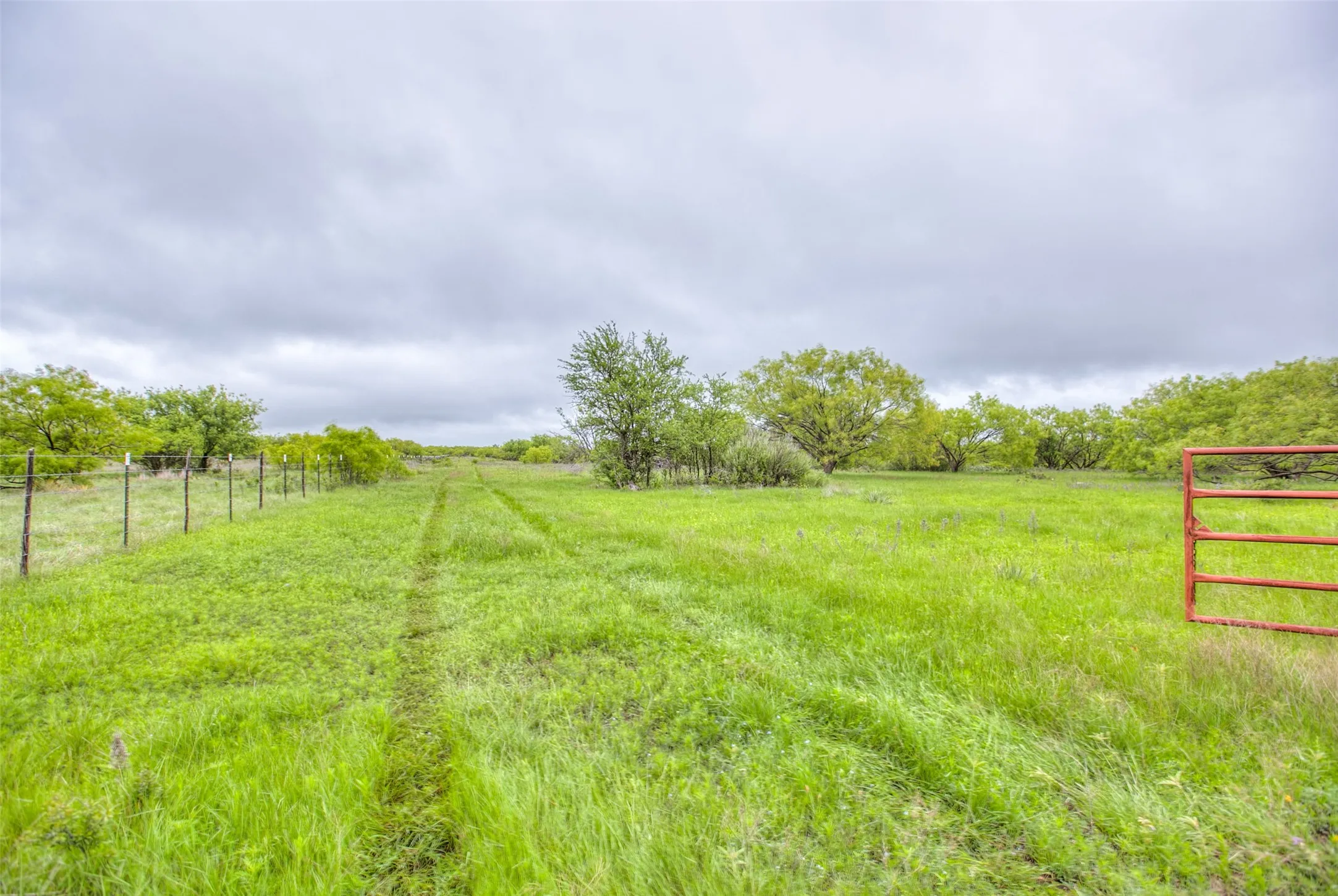 Ranch For Sale in Callahan County , N/A HWY 36, Baird, Texas 79504, 0, 0, Garage spaces, 0 Sqft, built in 0, mls#21298792, Real Estate Agent in Baird, Homes For Sale in Callahan county, Homes For Sale in Baird, Realtor in Baird Texas, Real Estate Brokerage Independent Realty Texas, Luminita Cordes Realtor