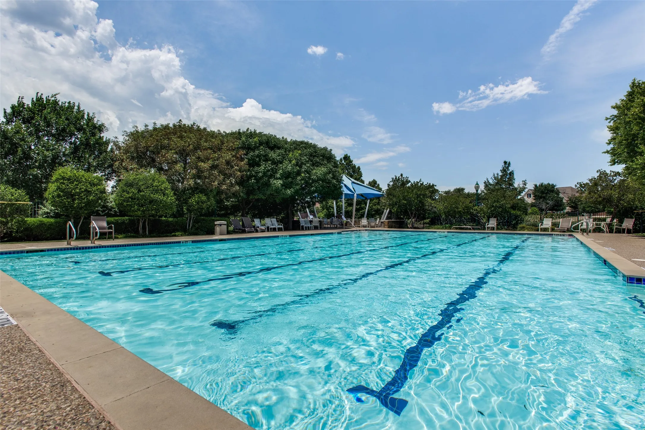 Community pool surrounded by mature trees.
