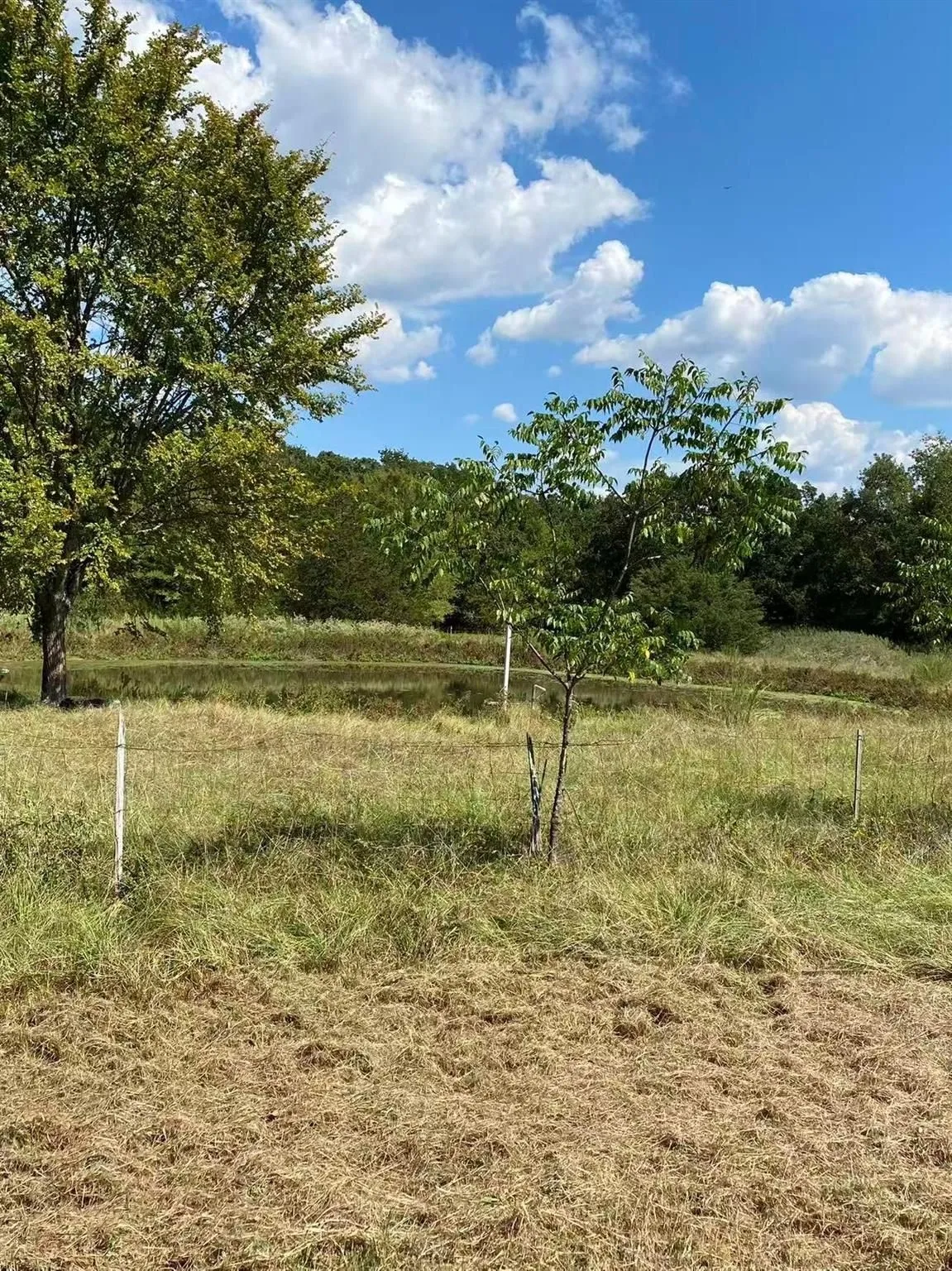 Mobile Home For Sale in Hunt County , 1000 Sundance Drive, West Tawakoni, Texas 75474, 3 Bedrooms, 2 Bathrooms, Garage spaces, 1,064 Sqft, built in 1993, Price $225,000, mls#21298822, Real Estate Agent in West Tawakoni, Homes For Sale in Hunt county, Homes For Sale in West Tawakoni, Realtor in West Tawakoni Texas, Real Estate Brokerage Independent Realty Texas, Luminita Cordes Realtor