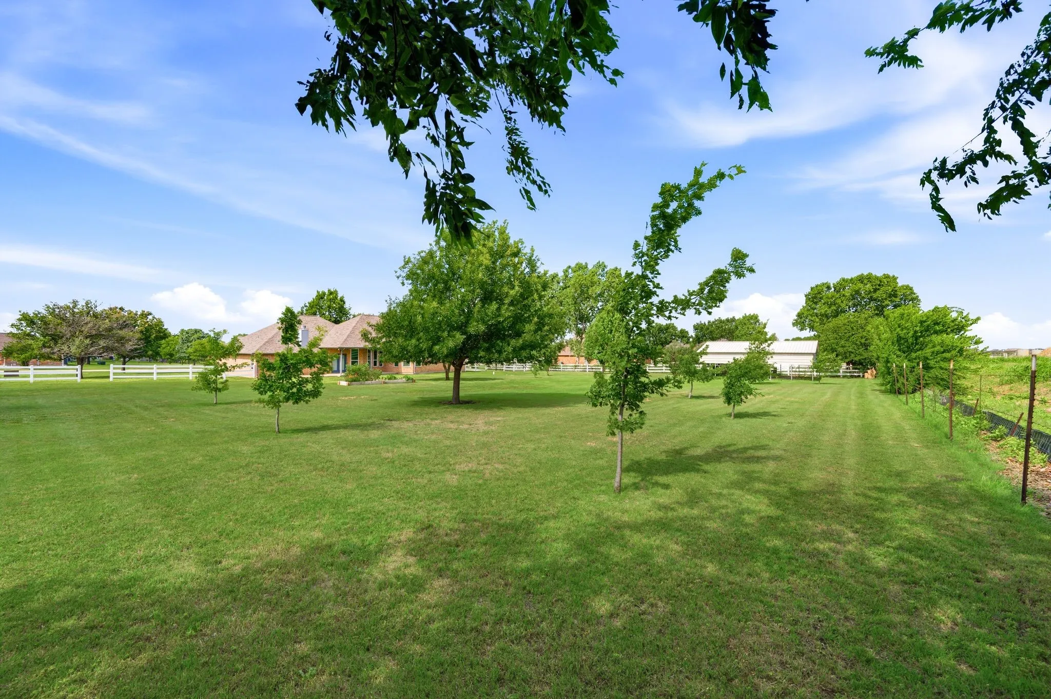 Expansive green lawn with scattered trees and a distant single-story property