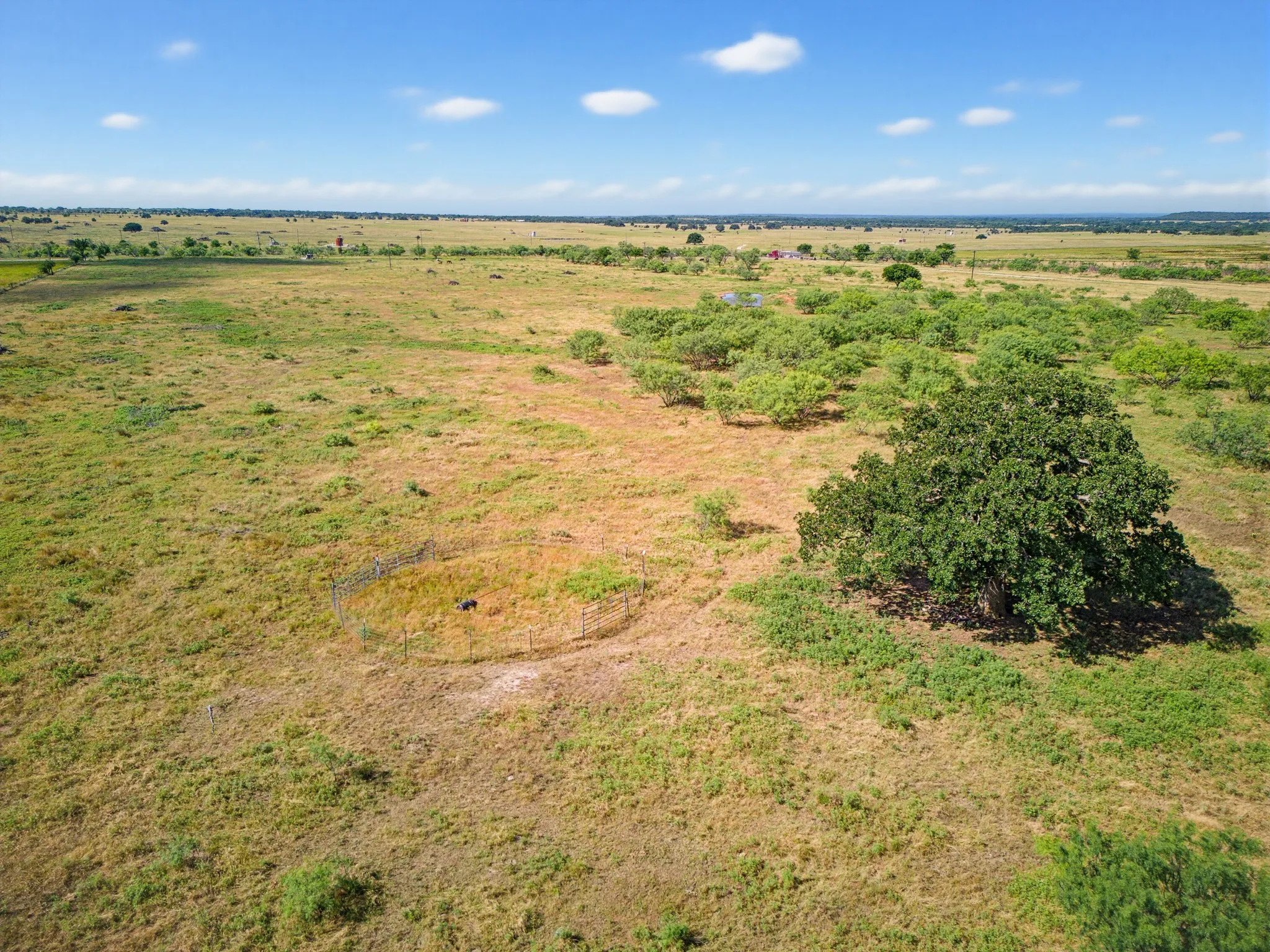 Unimproved Land For Sale in Jack County , 7511 Fm 1810, Chico, Texas 76431, 0, 0, Garage spaces, 0 Sqft, built in 0, mls#21298834, Real Estate Agent in Chico, Homes For Sale in Jack county, Homes For Sale in Chico, Realtor in Chico Texas, Real Estate Brokerage Independent Realty Texas, Luminita Cordes Realtor