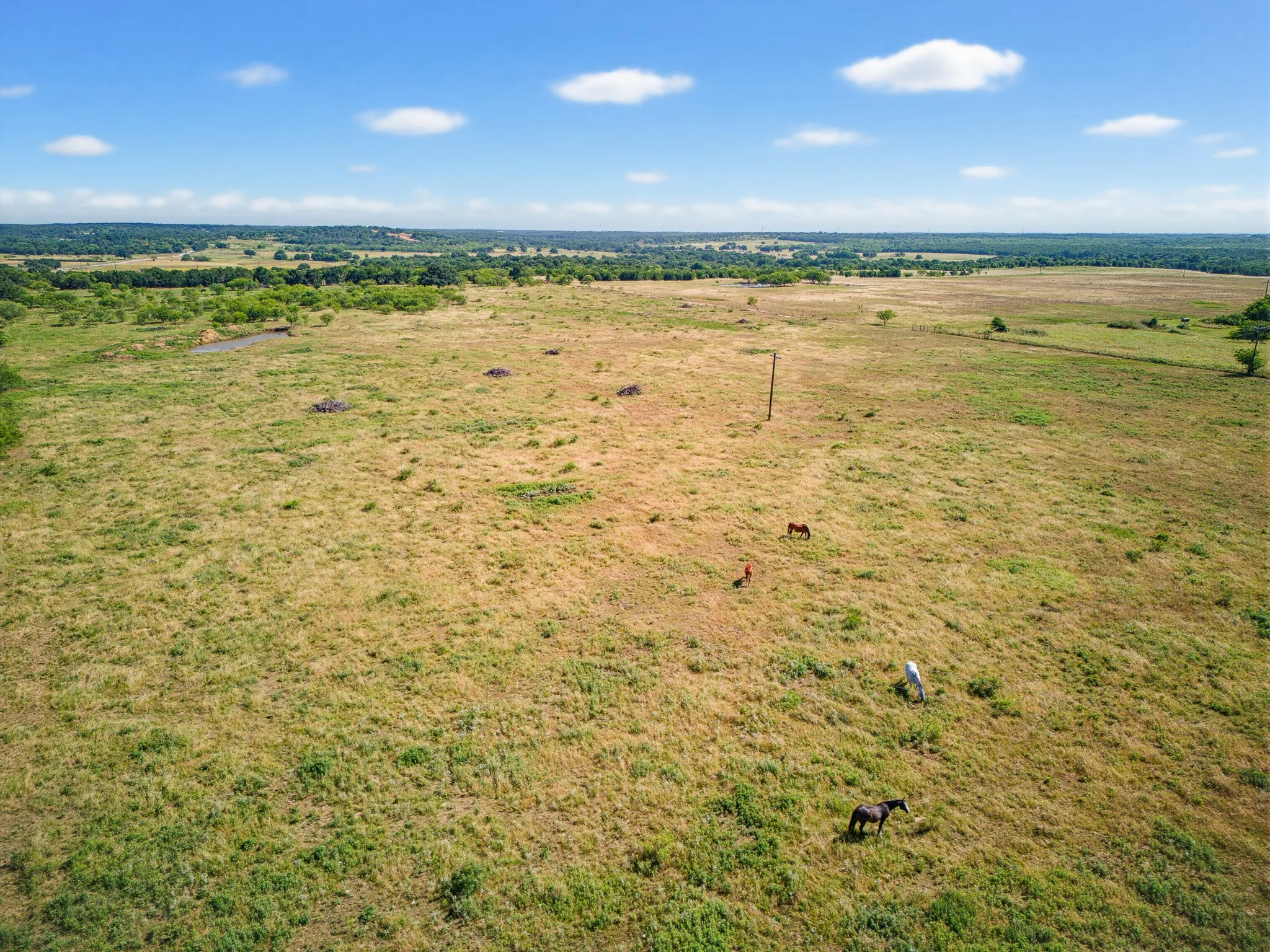 Unimproved Land For Sale in Jack County , 7511 Fm 1810, Chico, Texas 76431, 0, 0, Garage spaces, 0 Sqft, built in 0, mls#21298834, Real Estate Agent in Chico, Homes For Sale in Jack county, Homes For Sale in Chico, Realtor in Chico Texas, Real Estate Brokerage Independent Realty Texas, Luminita Cordes Realtor