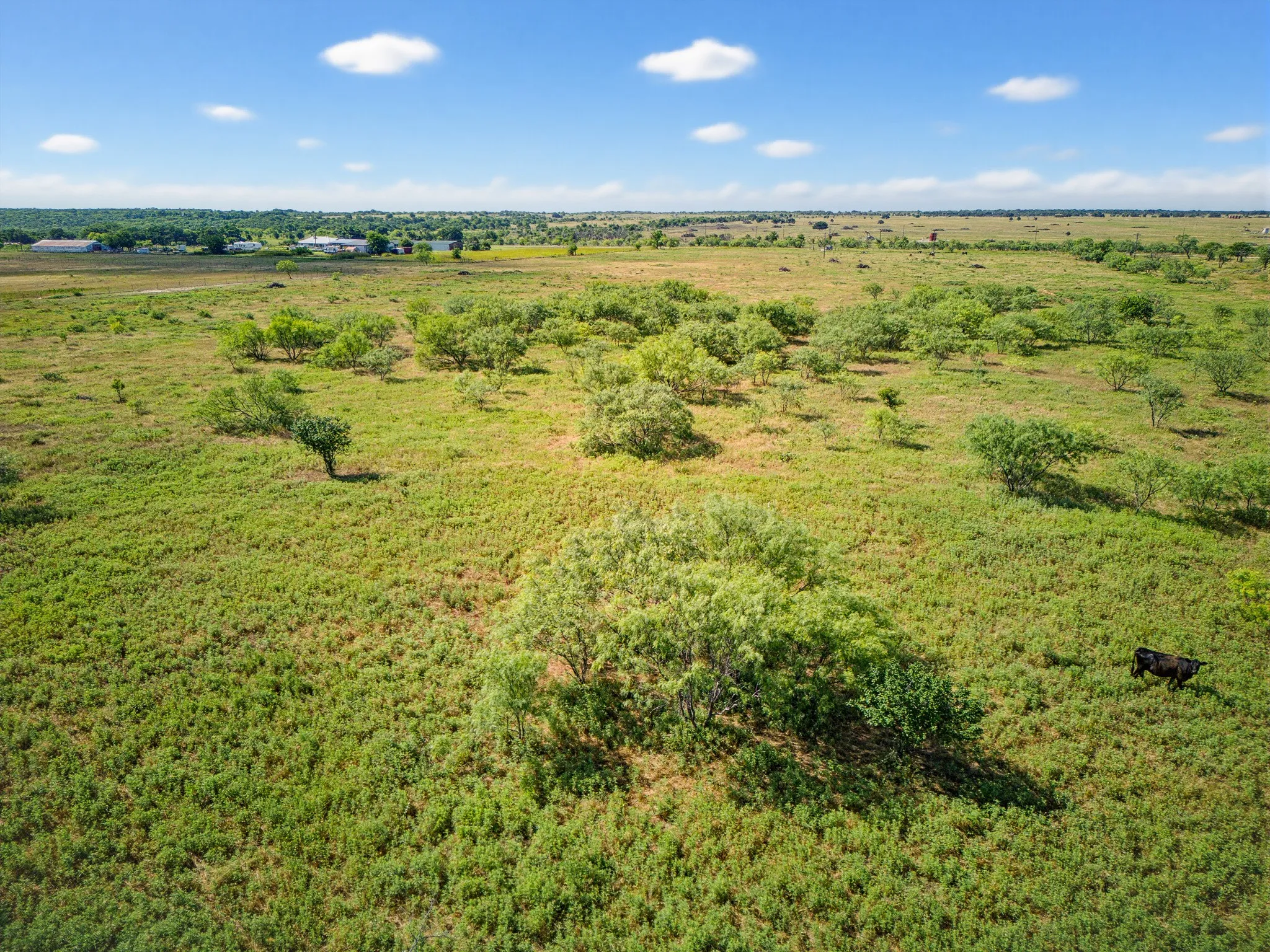 Unimproved Land For Sale in Jack County , 7511 Fm 1810, Chico, Texas 76431, 0, 0, Garage spaces, 0 Sqft, built in 0, mls#21298834, Real Estate Agent in Chico, Homes For Sale in Jack county, Homes For Sale in Chico, Realtor in Chico Texas, Real Estate Brokerage Independent Realty Texas, Luminita Cordes Realtor