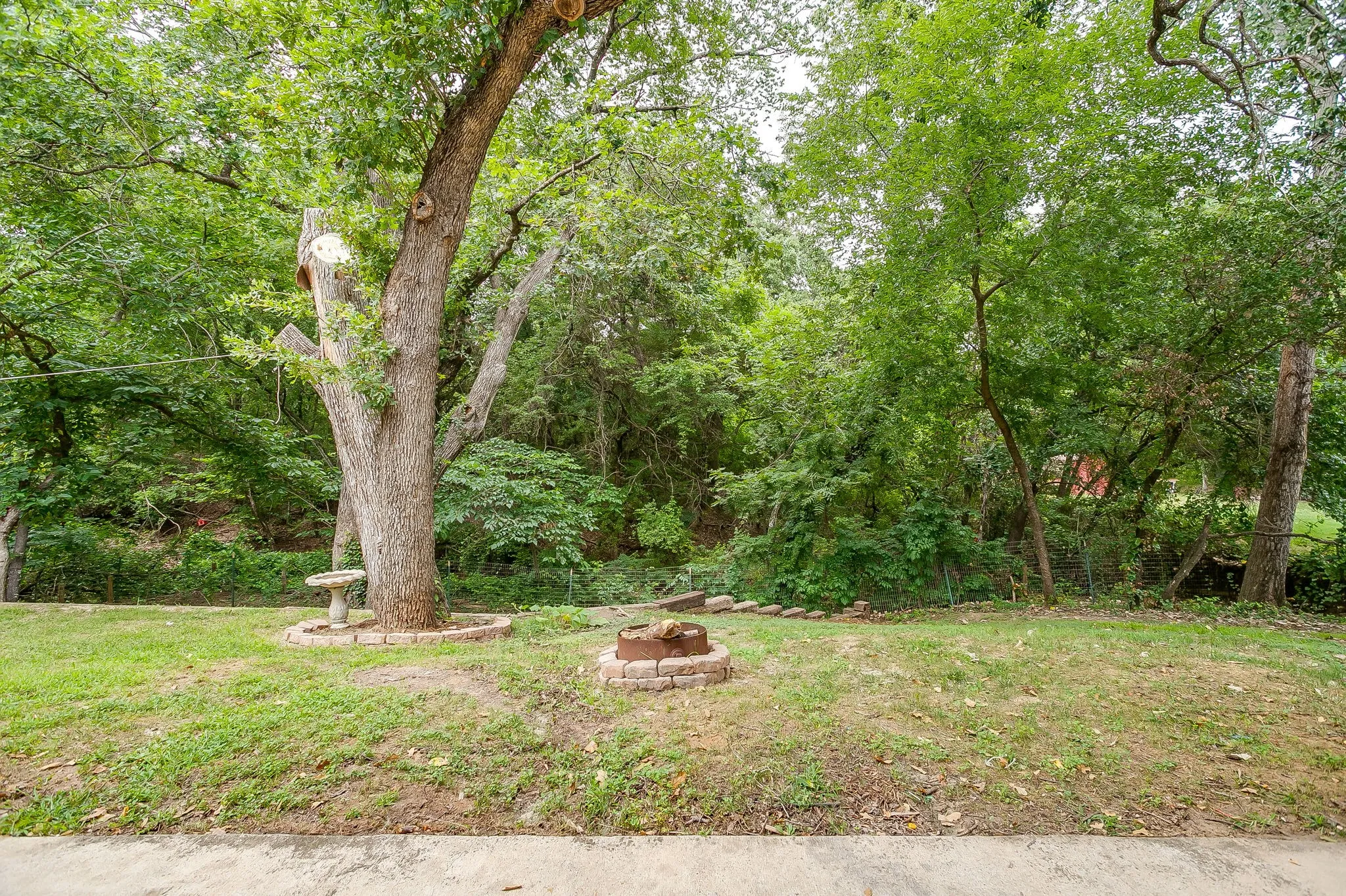 Expansive green space featuring a large mature tree, a stone bird bath, and a brick-ringed fire pit