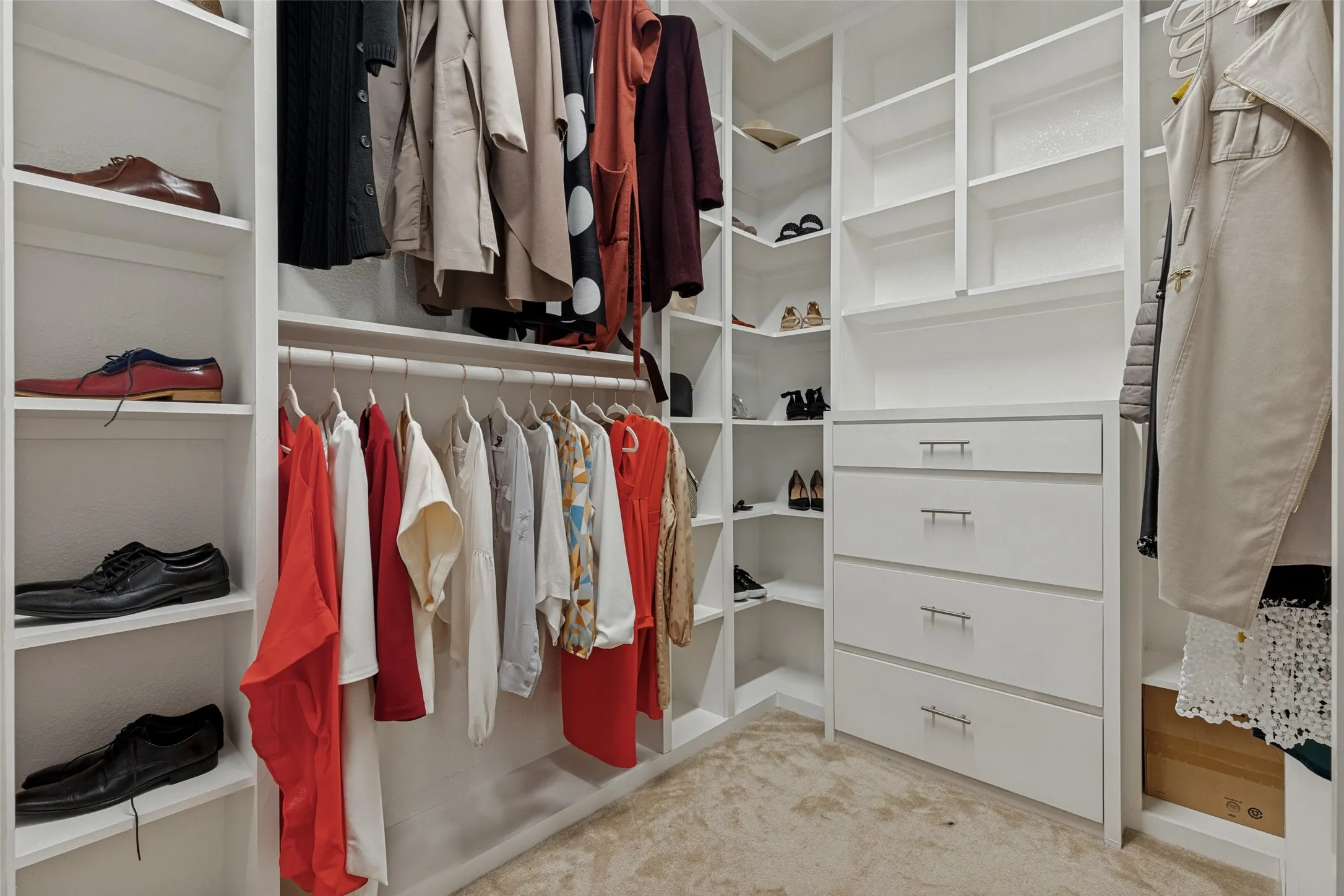 Custom closet system featuring extensive shelving, multiple hanging rods, four integrated dresser drawers with bar pull hardware, and carpet flooring