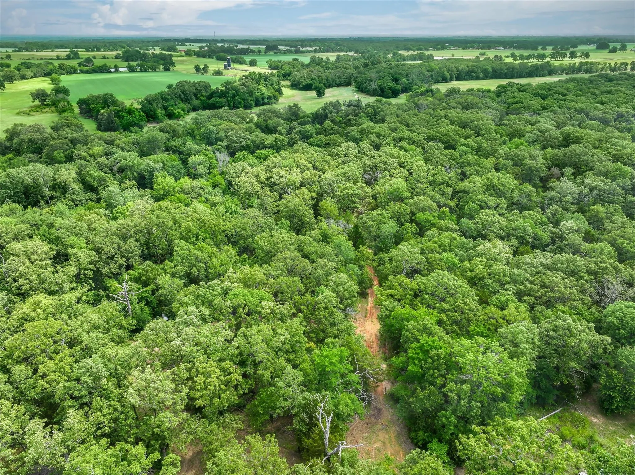 Unimproved Land For Sale in Van Zandt County , 950 VZ County Road 1919, Fruitvale, Texas 75127, 0, 0, Garage spaces, 0 Sqft, built in 0, mls#21298868, Real Estate Agent in Fruitvale, Homes For Sale in Van Zandt county, Homes For Sale in Fruitvale, Realtor in Fruitvale Texas, Real Estate Brokerage Independent Realty Texas, Luminita Cordes Realtor