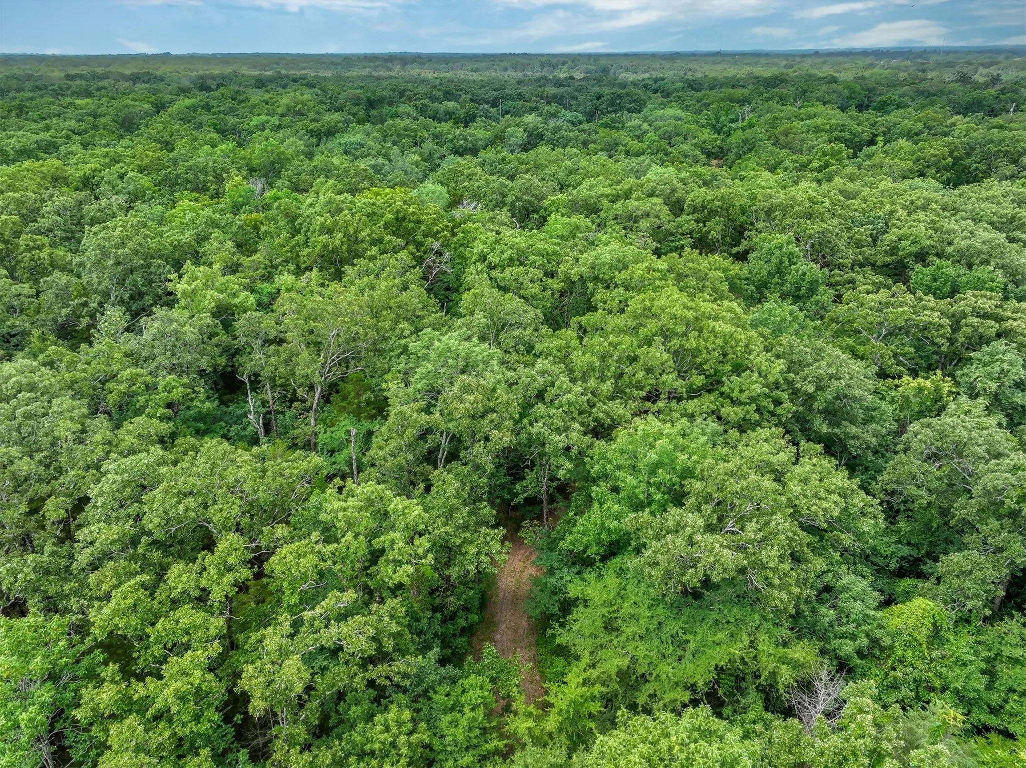 Unimproved Land For Sale in Van Zandt County , 950 VZ County Road 1919, Fruitvale, Texas 75127, 0, 0, Garage spaces, 0 Sqft, built in 0, mls#21298868, Real Estate Agent in Fruitvale, Homes For Sale in Van Zandt county, Homes For Sale in Fruitvale, Realtor in Fruitvale Texas, Real Estate Brokerage Independent Realty Texas, Luminita Cordes Realtor