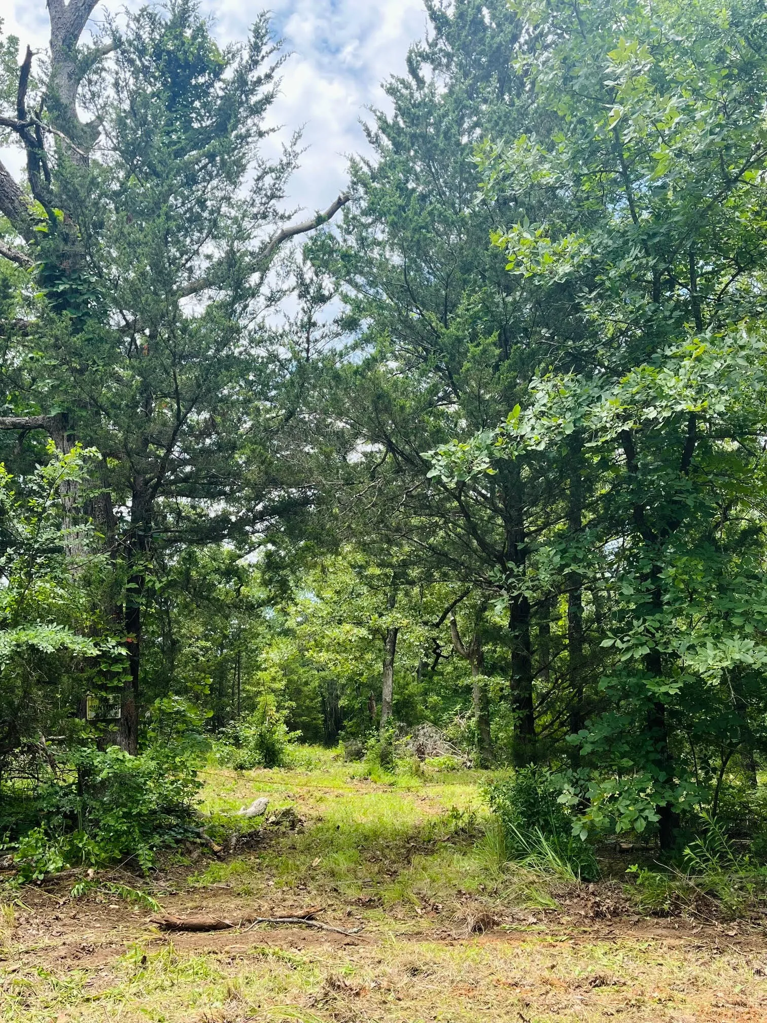 Unimproved Land For Sale in Van Zandt County , 950 VZ County Road 1919, Fruitvale, Texas 75127, 0, 0, Garage spaces, 0 Sqft, built in 0, mls#21298868, Real Estate Agent in Fruitvale, Homes For Sale in Van Zandt county, Homes For Sale in Fruitvale, Realtor in Fruitvale Texas, Real Estate Brokerage Independent Realty Texas, Luminita Cordes Realtor