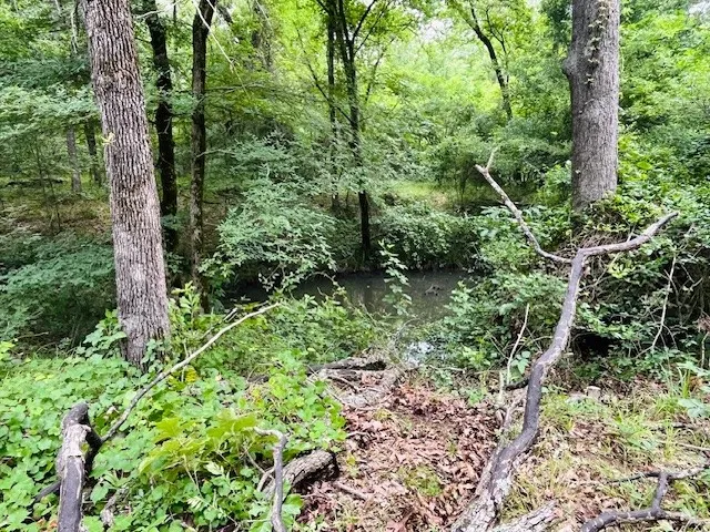 Unimproved Land For Sale in Van Zandt County , 950 VZ County Road 1919, Fruitvale, Texas 75127, 0, 0, Garage spaces, 0 Sqft, built in 0, mls#21298868, Real Estate Agent in Fruitvale, Homes For Sale in Van Zandt county, Homes For Sale in Fruitvale, Realtor in Fruitvale Texas, Real Estate Brokerage Independent Realty Texas, Luminita Cordes Realtor