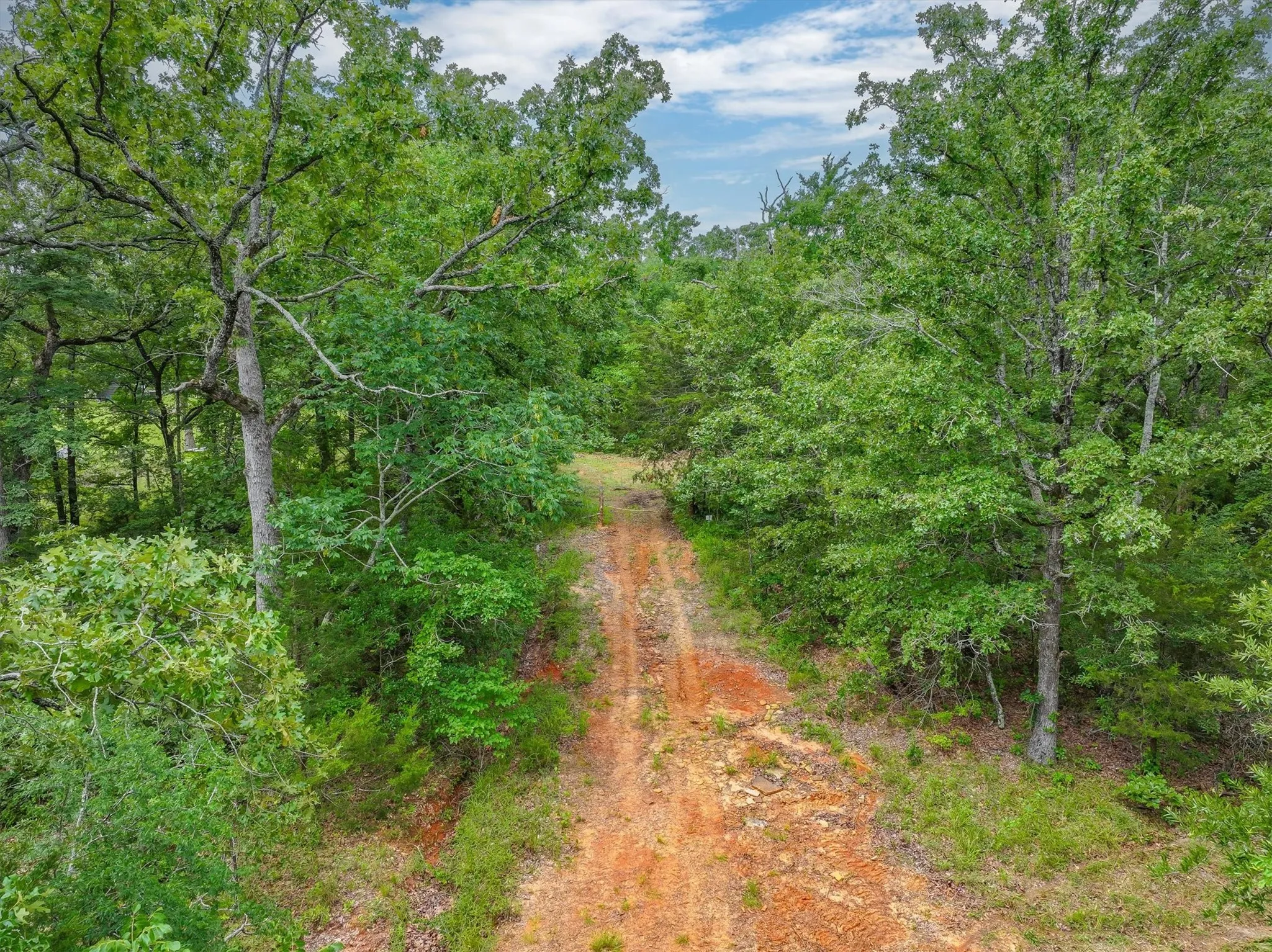 Unimproved Land For Sale in Van Zandt County , 950 VZ County Road 1919, Fruitvale, Texas 75127, 0, 0, Garage spaces, 0 Sqft, built in 0, mls#21298868, Real Estate Agent in Fruitvale, Homes For Sale in Van Zandt county, Homes For Sale in Fruitvale, Realtor in Fruitvale Texas, Real Estate Brokerage Independent Realty Texas, Luminita Cordes Realtor
