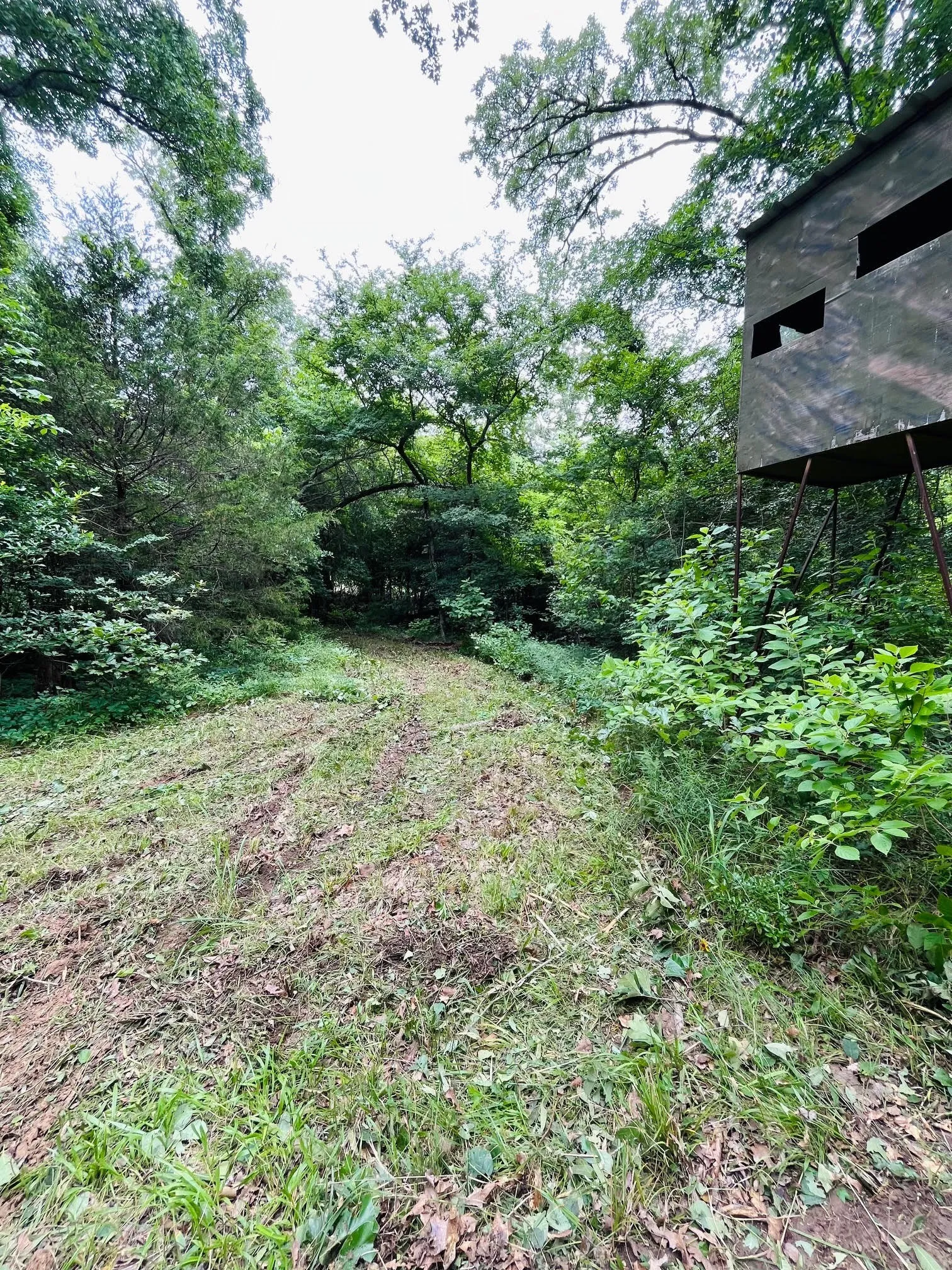 Unimproved Land For Sale in Van Zandt County , 950 VZ County Road 1919, Fruitvale, Texas 75127, 0, 0, Garage spaces, 0 Sqft, built in 0, mls#21298868, Real Estate Agent in Fruitvale, Homes For Sale in Van Zandt county, Homes For Sale in Fruitvale, Realtor in Fruitvale Texas, Real Estate Brokerage Independent Realty Texas, Luminita Cordes Realtor
