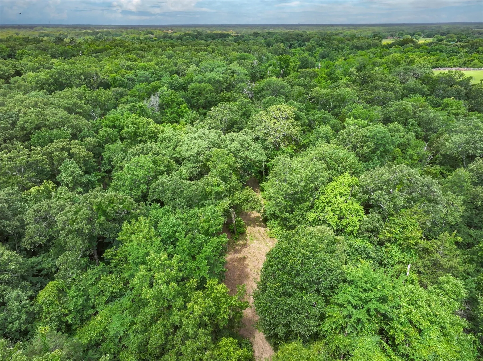 Unimproved Land For Sale in Van Zandt County , 950 VZ County Road 1919, Fruitvale, Texas 75127, 0, 0, Garage spaces, 0 Sqft, built in 0, mls#21298868, Real Estate Agent in Fruitvale, Homes For Sale in Van Zandt county, Homes For Sale in Fruitvale, Realtor in Fruitvale Texas, Real Estate Brokerage Independent Realty Texas, Luminita Cordes Realtor
