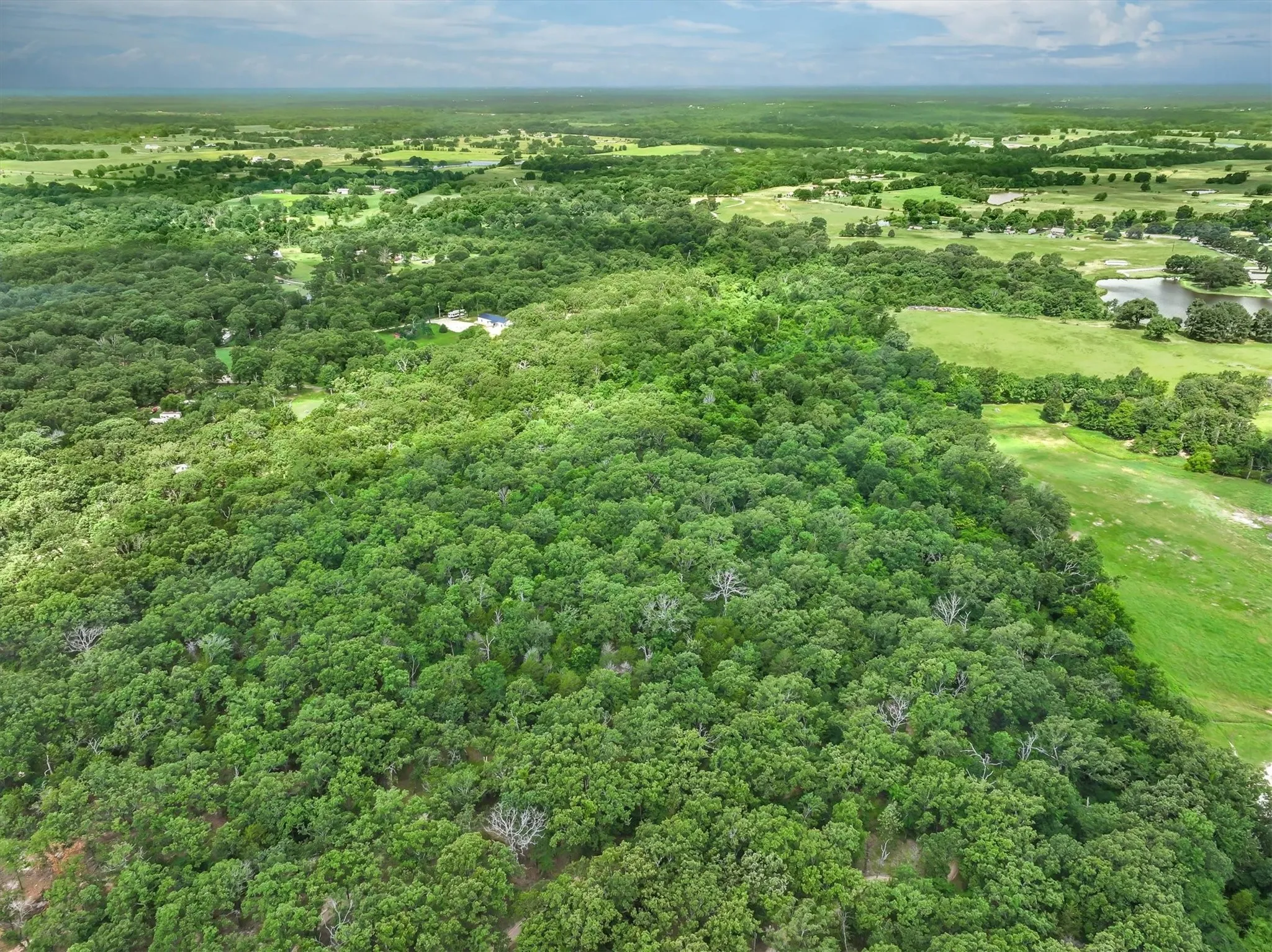 Unimproved Land For Sale in Van Zandt County , 950 VZ County Road 1919, Fruitvale, Texas 75127, 0, 0, Garage spaces, 0 Sqft, built in 0, mls#21298868, Real Estate Agent in Fruitvale, Homes For Sale in Van Zandt county, Homes For Sale in Fruitvale, Realtor in Fruitvale Texas, Real Estate Brokerage Independent Realty Texas, Luminita Cordes Realtor