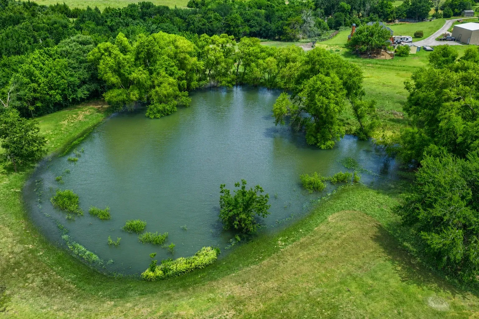 Natural pond with lush green vegetation along its banks