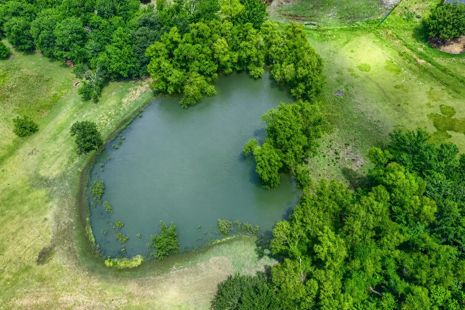 Private pond surrounded by mature trees and natural landscaping