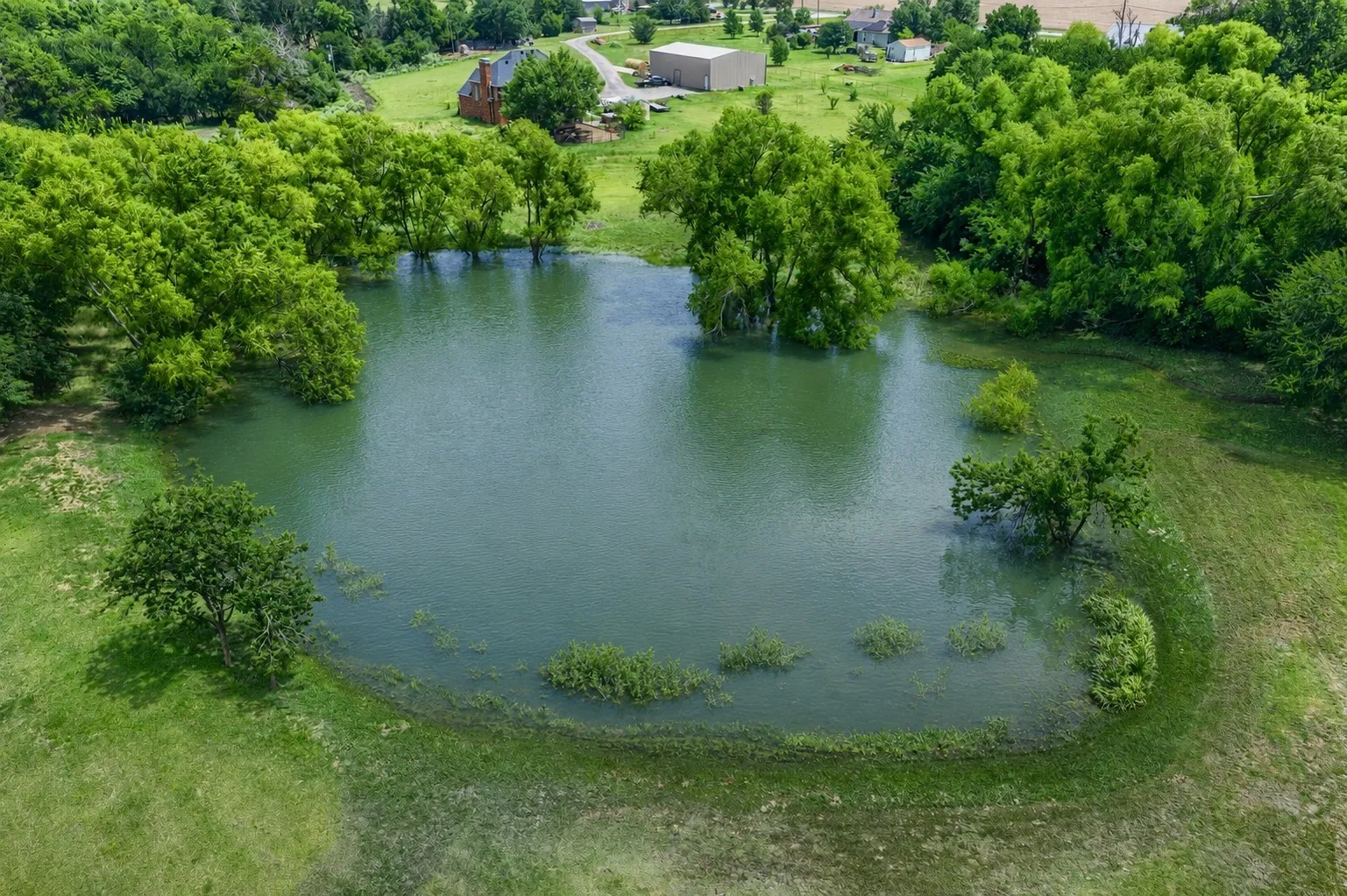 Expansive pond with lush green surroundings