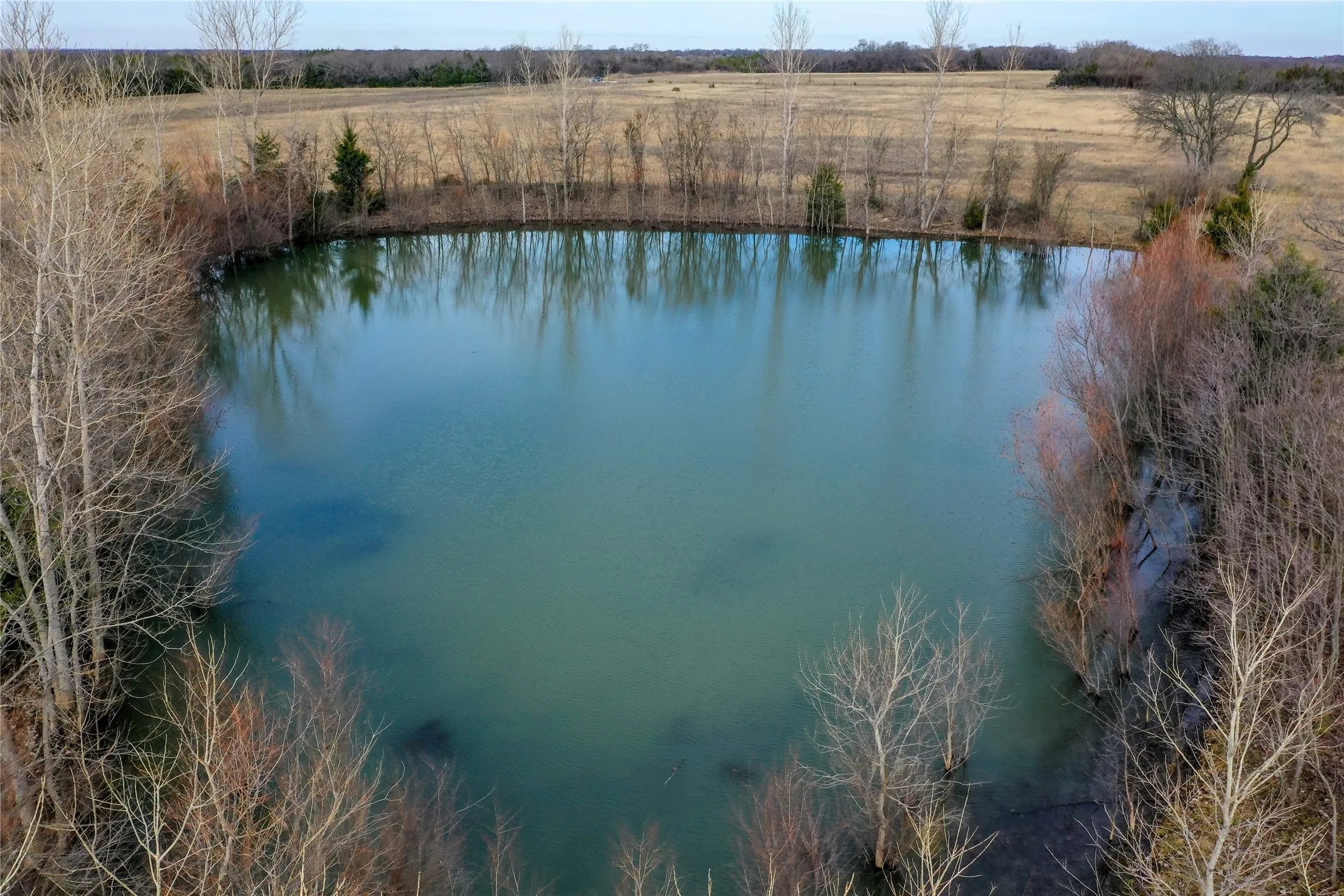 Ranch For Sale in Fannin County , 000 Cr 3200, Dodd City, Texas 75438, 0, 0, Garage spaces, 0 Sqft, built in 0, mls#21298885, Real Estate Agent in Dodd City, Homes For Sale in Fannin county, Homes For Sale in Dodd City, Realtor in Dodd City Texas, Real Estate Brokerage Independent Realty Texas, Luminita Cordes Realtor