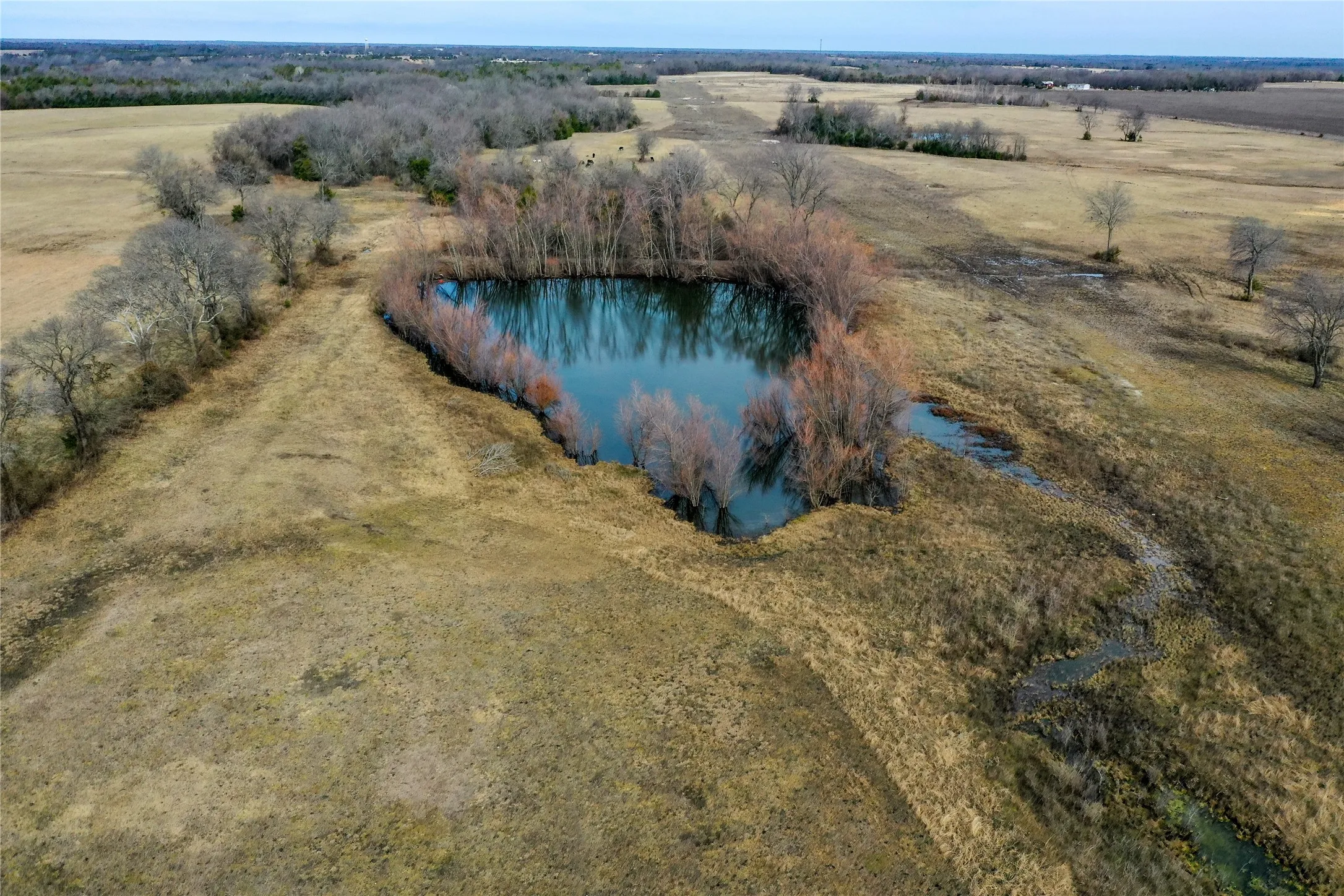 Ranch For Sale in Fannin County , 000 Cr 3200, Dodd City, Texas 75438, 0, 0, Garage spaces, 0 Sqft, built in 0, mls#21298885, Real Estate Agent in Dodd City, Homes For Sale in Fannin county, Homes For Sale in Dodd City, Realtor in Dodd City Texas, Real Estate Brokerage Independent Realty Texas, Luminita Cordes Realtor