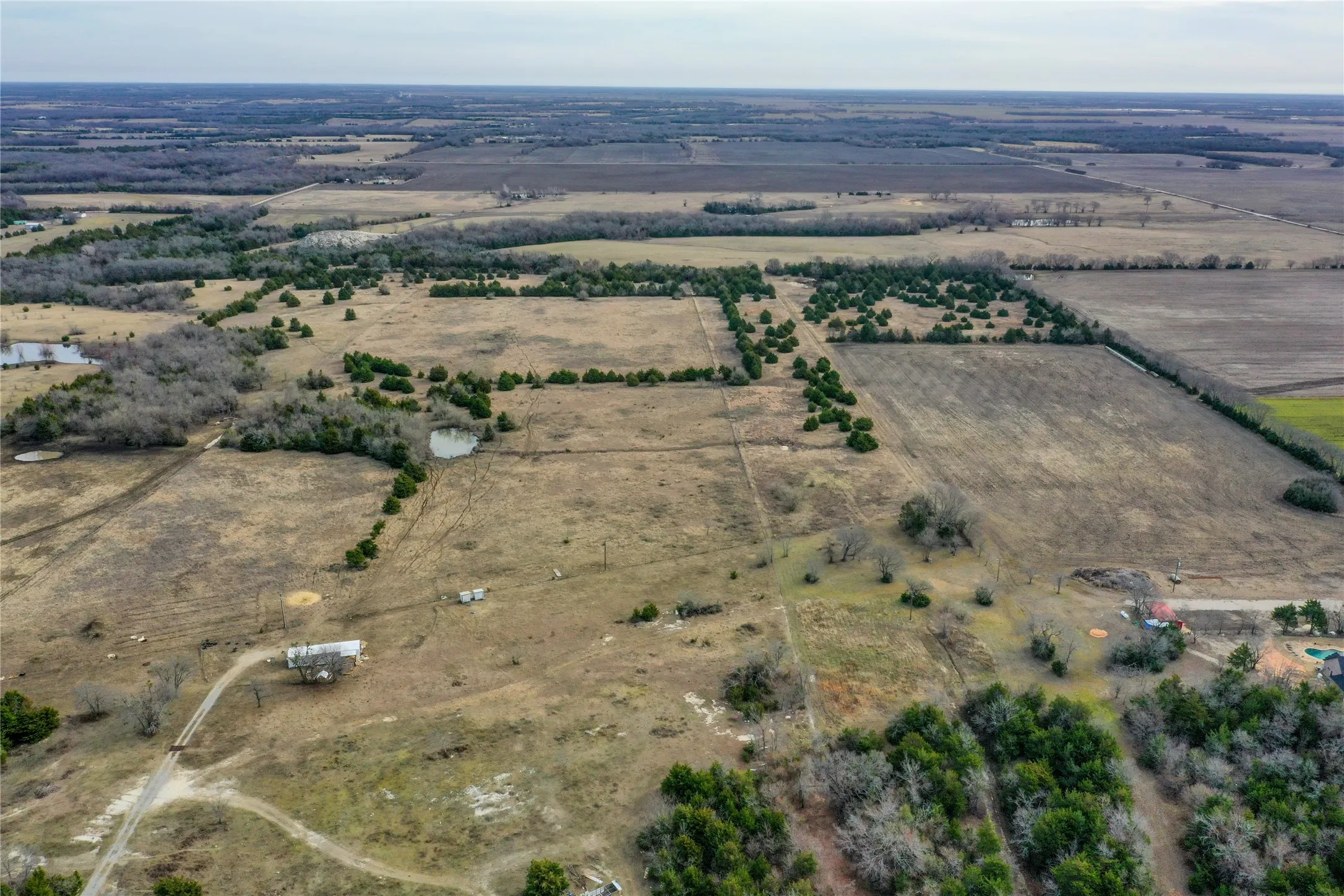 Ranch For Sale in Fannin County , 000 Cr 3200, Dodd City, Texas 75438, 0, 0, Garage spaces, 0 Sqft, built in 0, mls#21298885, Real Estate Agent in Dodd City, Homes For Sale in Fannin county, Homes For Sale in Dodd City, Realtor in Dodd City Texas, Real Estate Brokerage Independent Realty Texas, Luminita Cordes Realtor