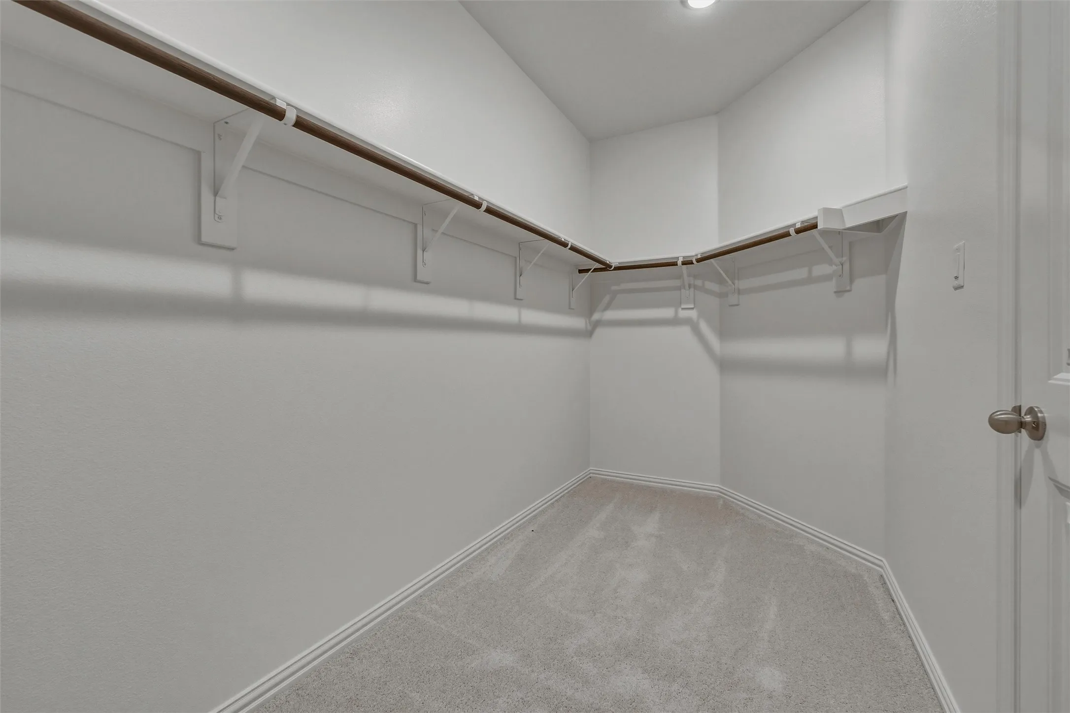 Walk-in closet with carpet flooring, white walls, and built-in clothes rods