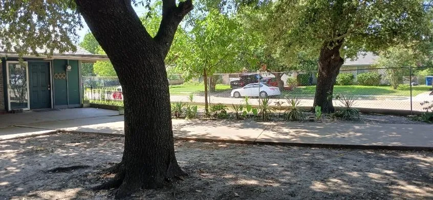 Clean spacious back yard
