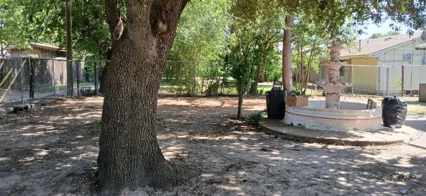Mature tree providing shade, with concrete fountain feature, and perimeter fencing