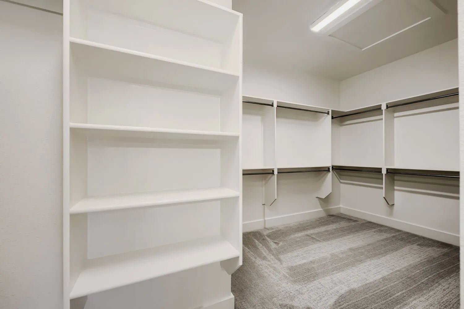 Spacious walk-in closet featuring custom white shelving, dual clothing rods with metal hardware, and wood-finish flooring throughout