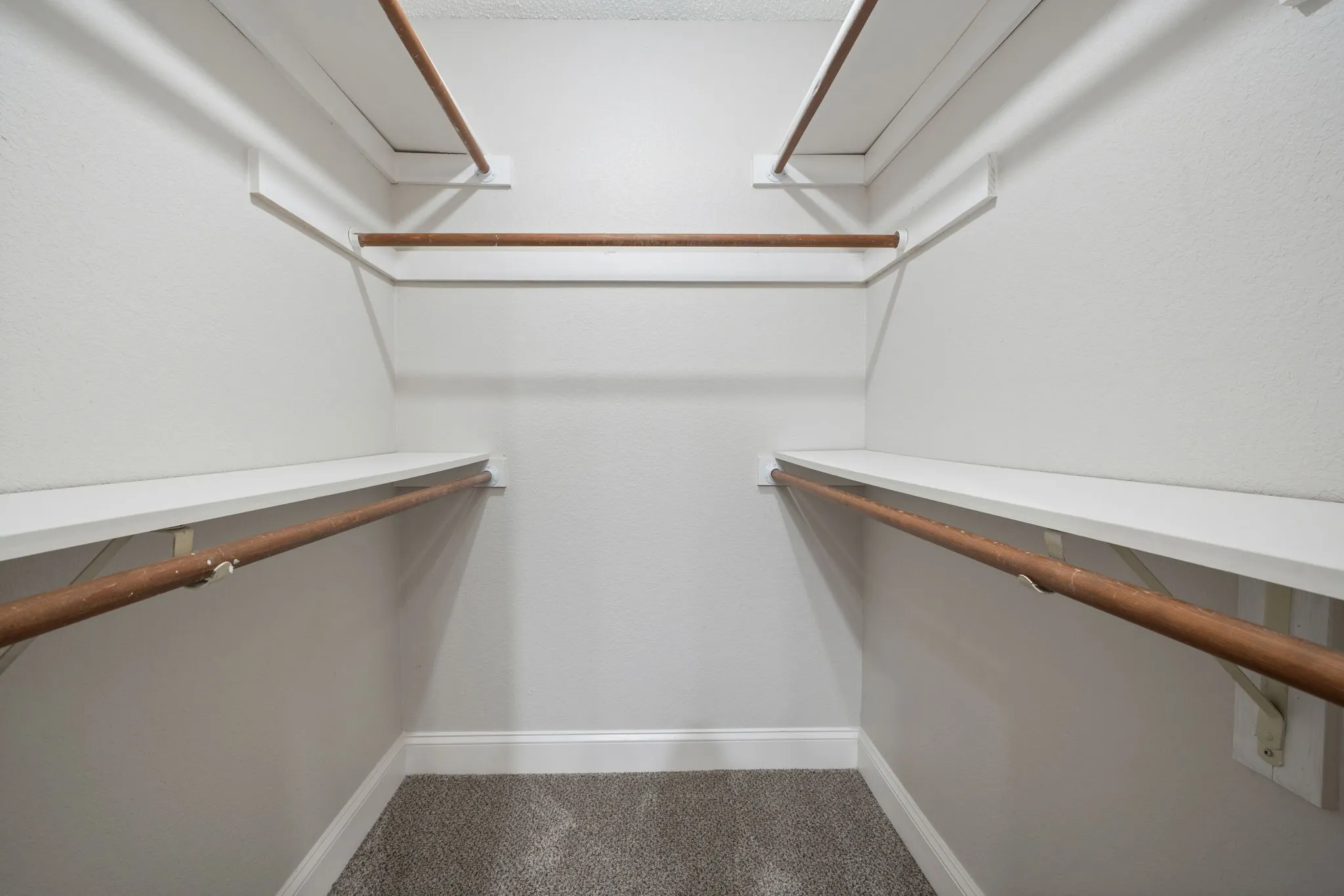 Walk-in closet with carpet flooring, white walls, and built-in shelving with hanging rods