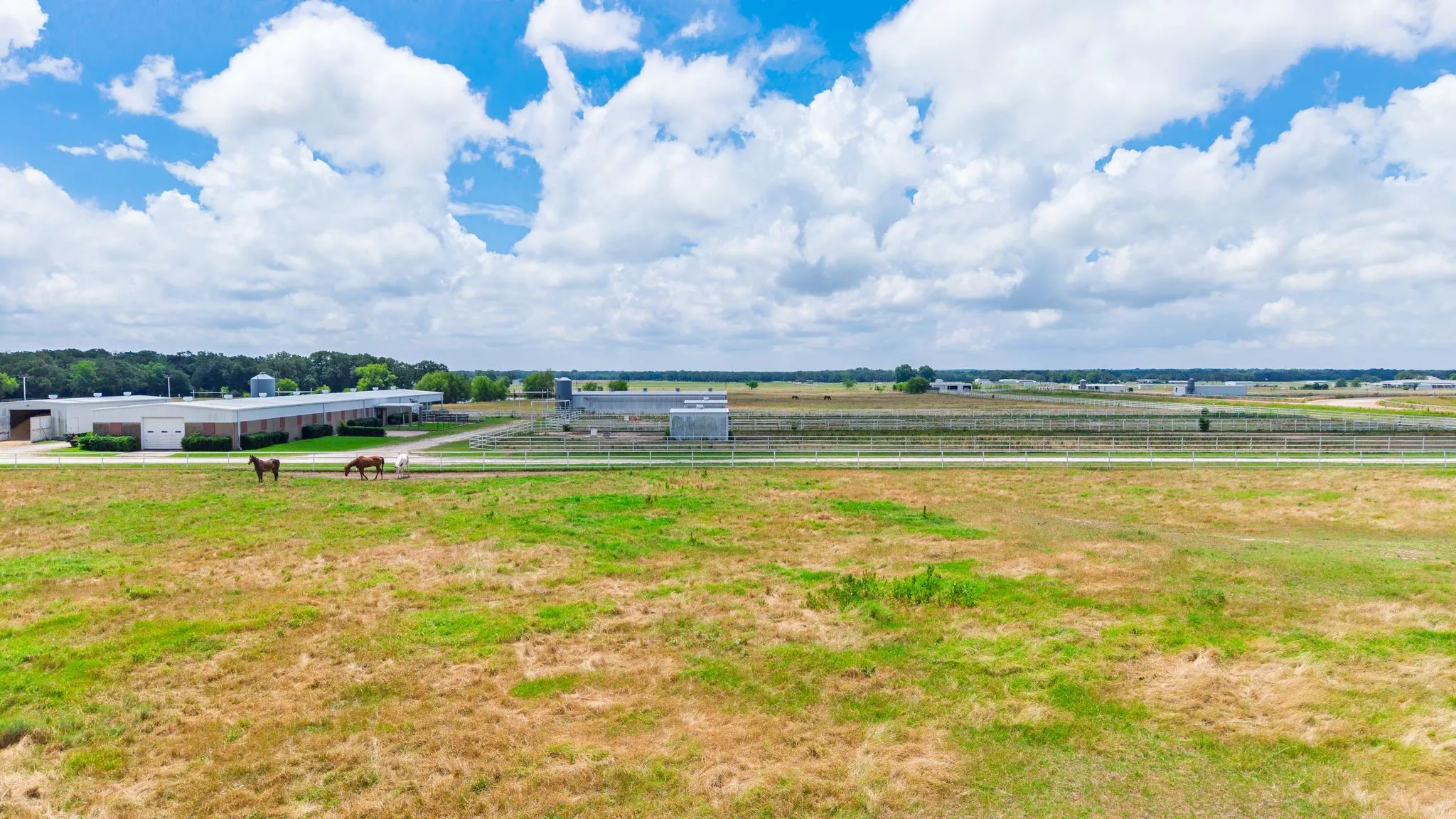 Ranch For Sale in Hunt County , 4509 Diamond D Road, Lone Oak, Texas 75453, 0, 0, Garage spaces, 0 Sqft, built in 1992, mls#21299044, Real Estate Agent in Lone Oak, Homes For Sale in Hunt county, Homes For Sale in Lone Oak, Realtor in Lone Oak Texas, Real Estate Brokerage Independent Realty Texas, Luminita Cordes Realtor