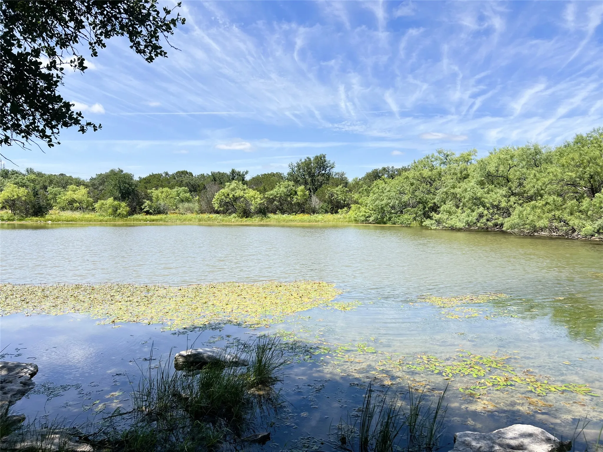 Natural water feature with surrounding mature trees and vegetation